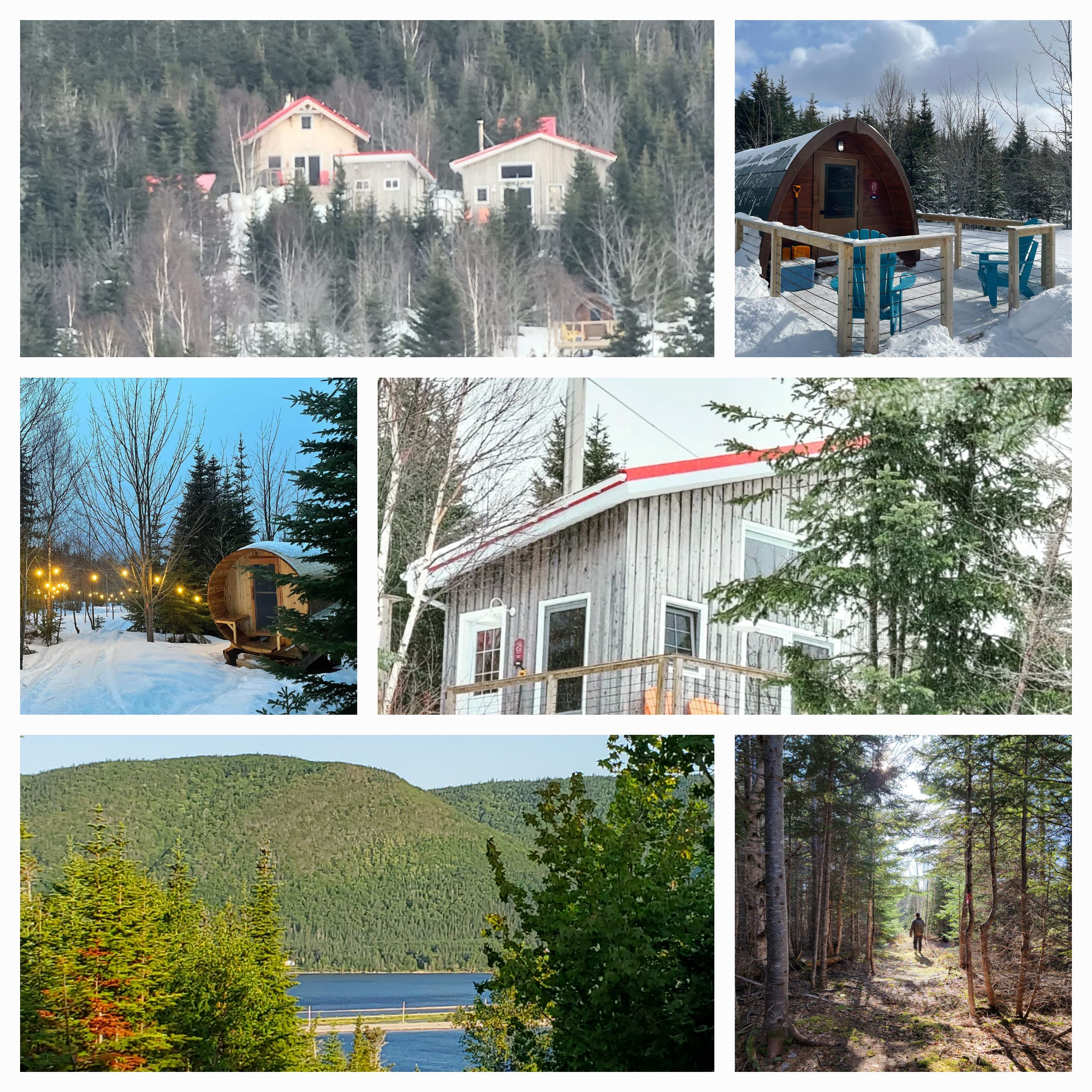 Sally's Brook Wilderness Cabins
