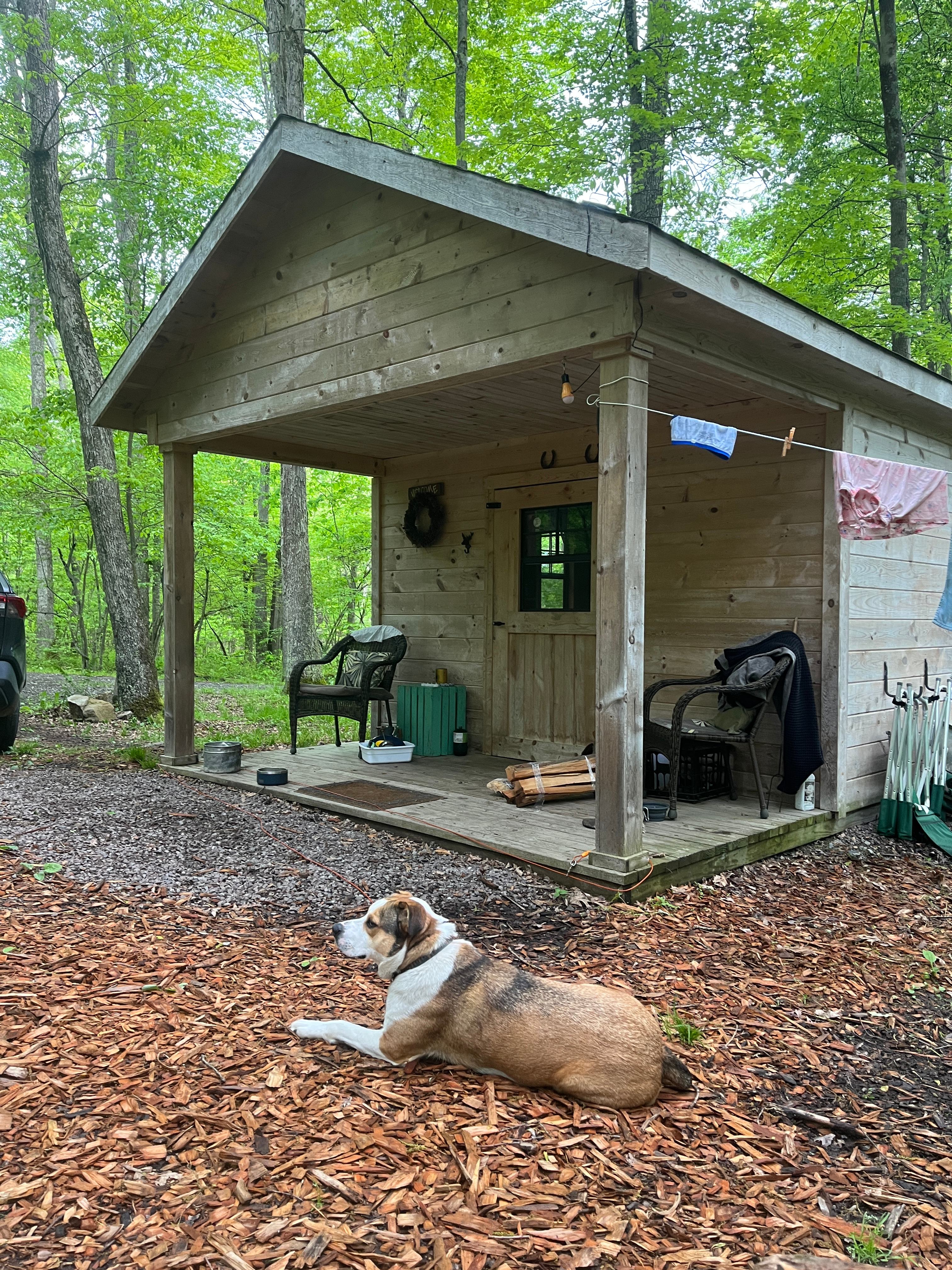 Wild Yough Glamping Huts