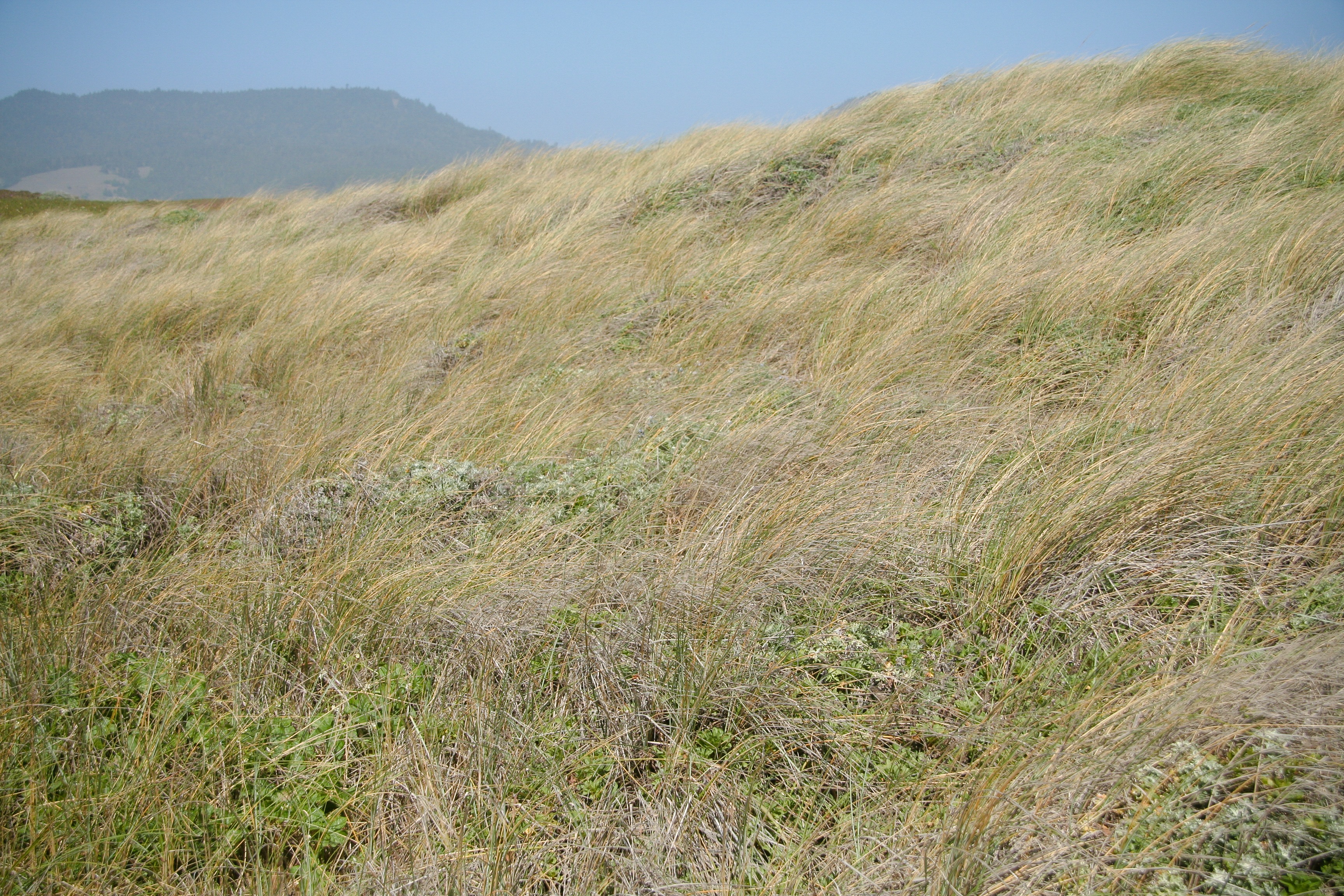 Manchester State Park
