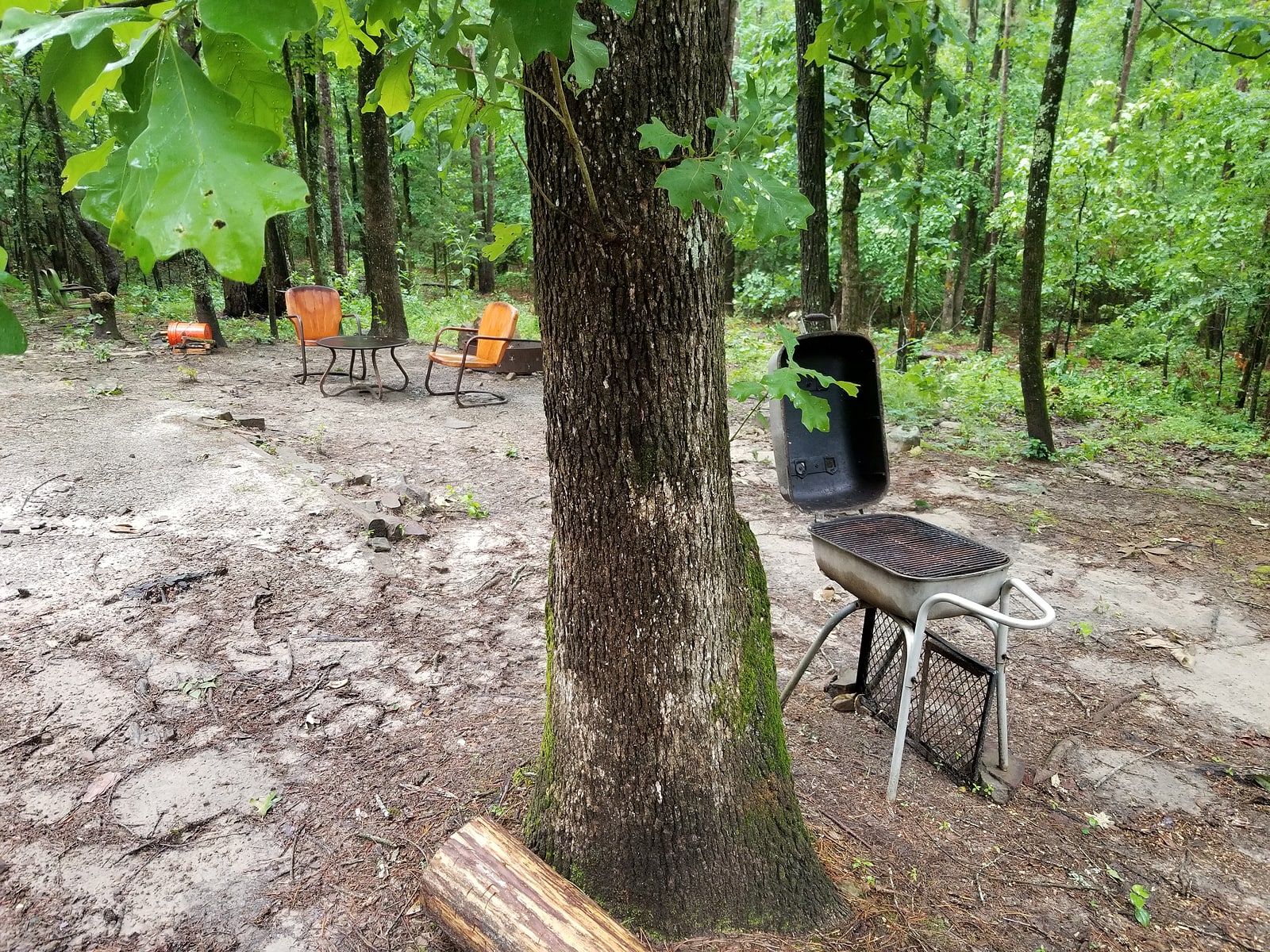 Bluegill Hill