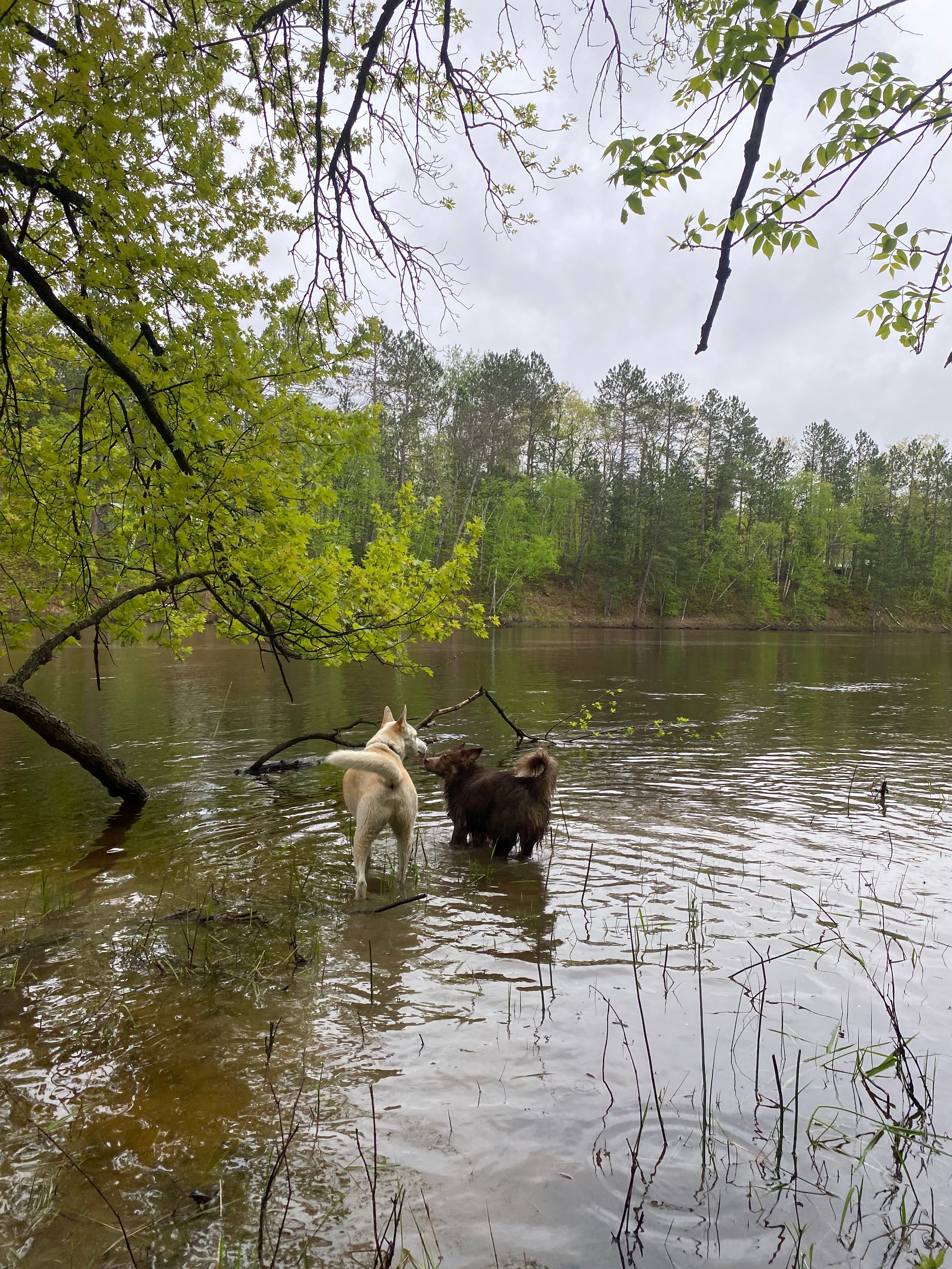 Cuyuna/Mississippi River Land