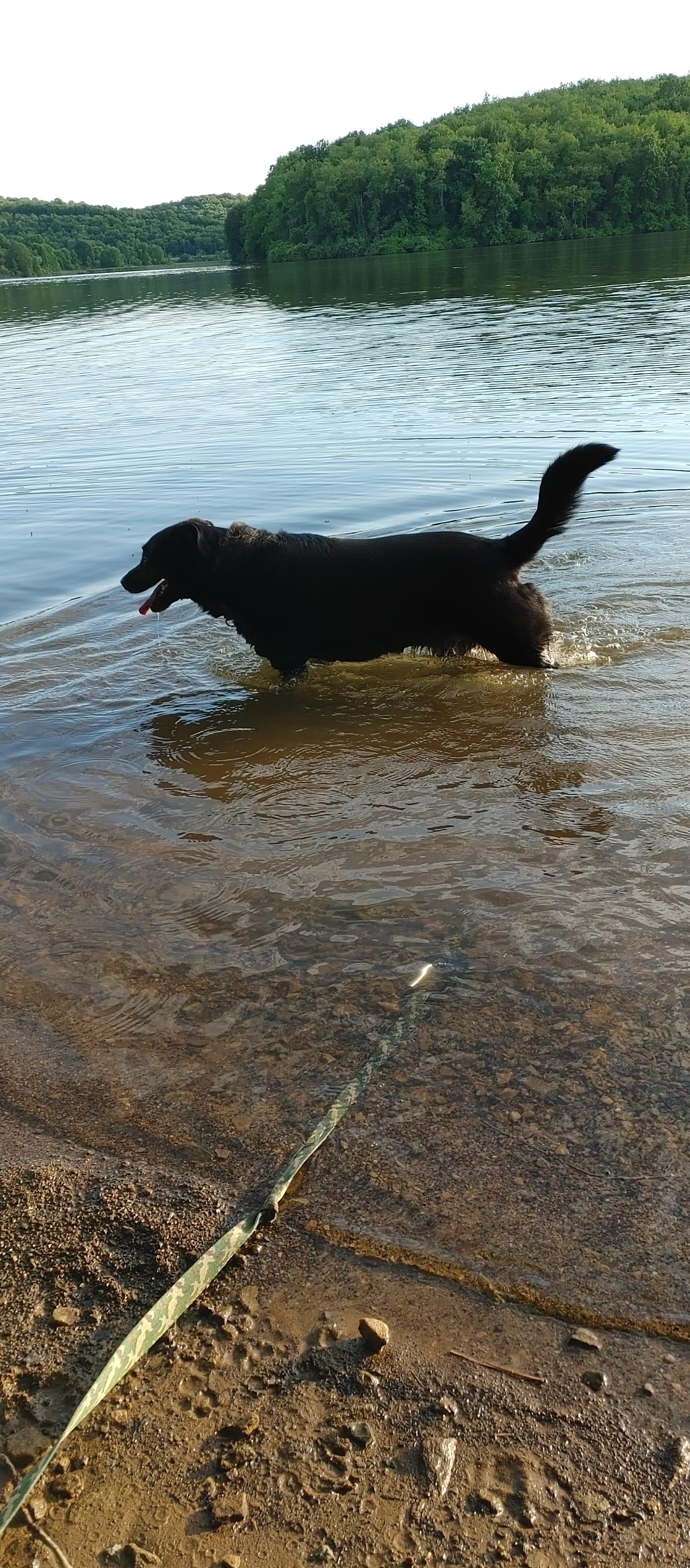 Great to swim or launch