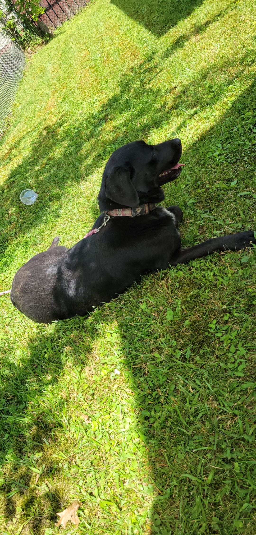 Backwoods Campground & Winery