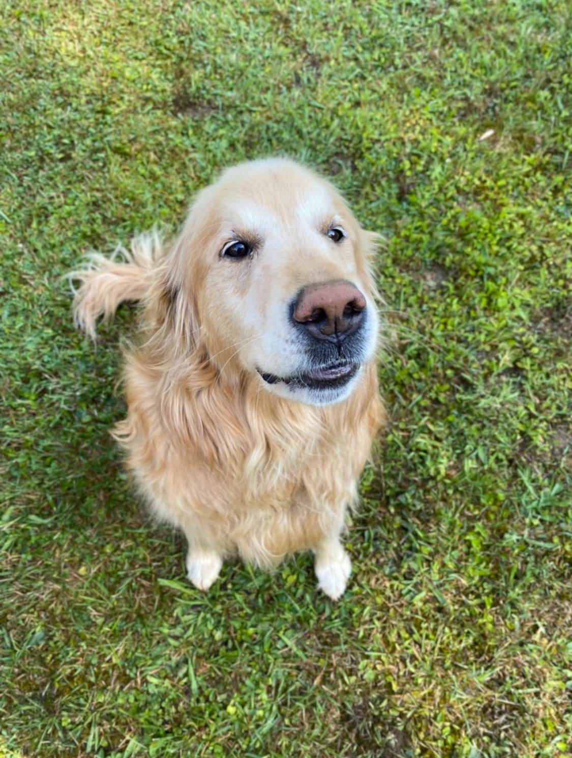 Czar Haus Cabin and RV Sites