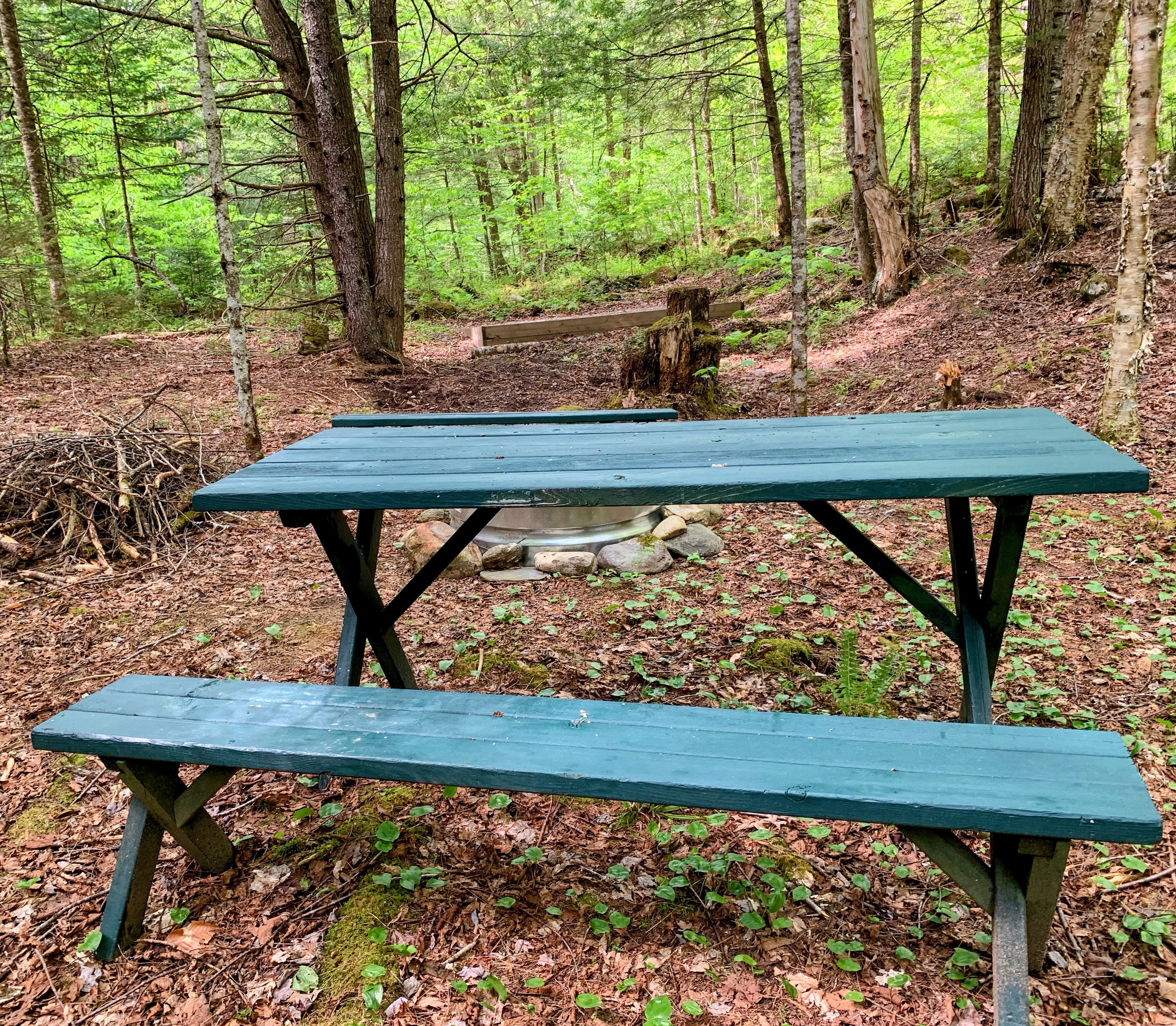Grand Paws Farm Site 1