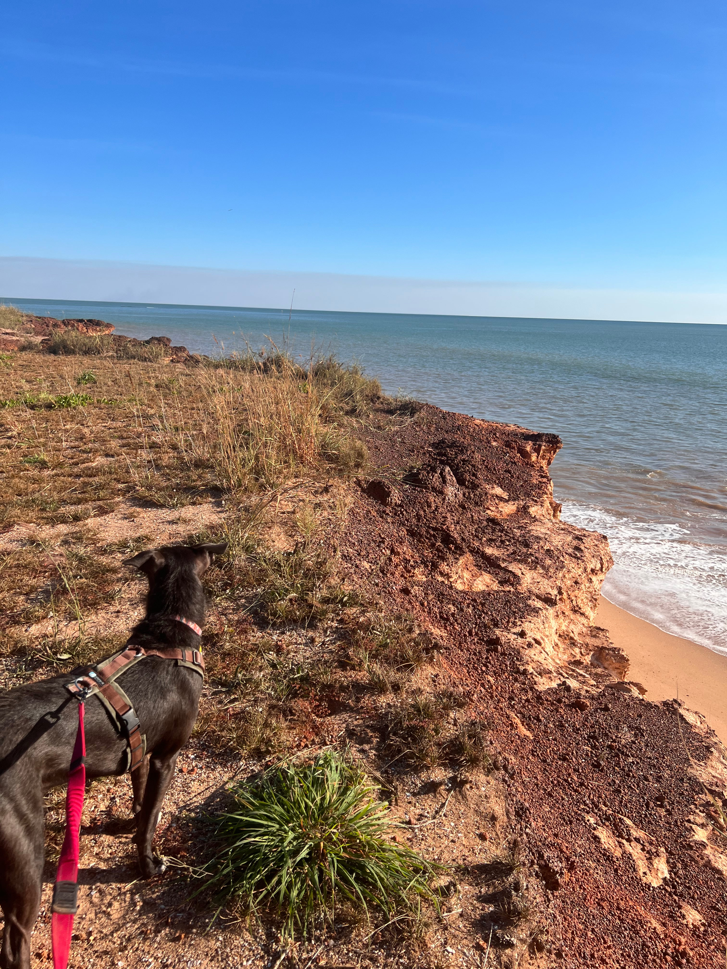 Kick Back & Relax Campsite