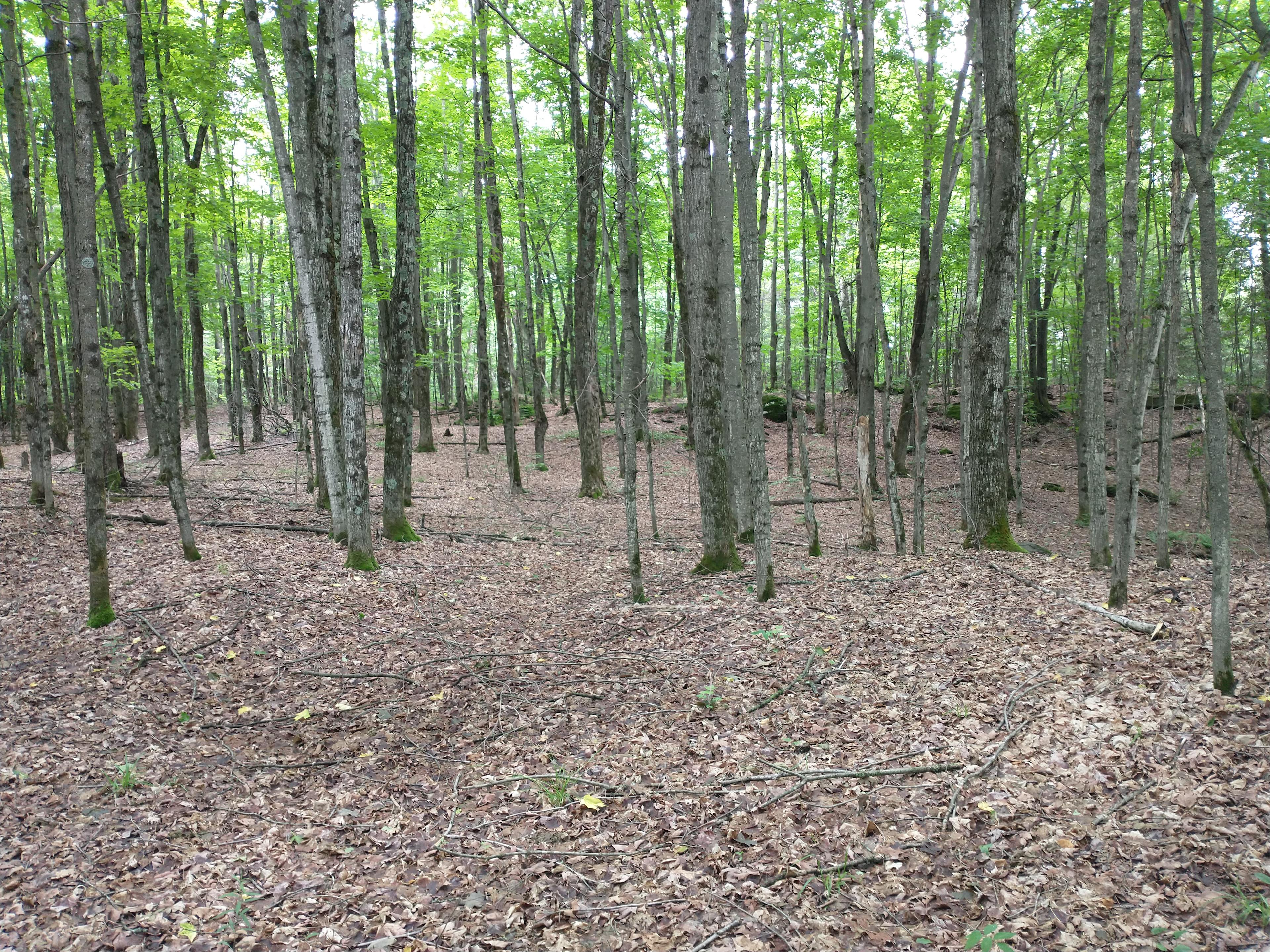 Spot for installing your tent 