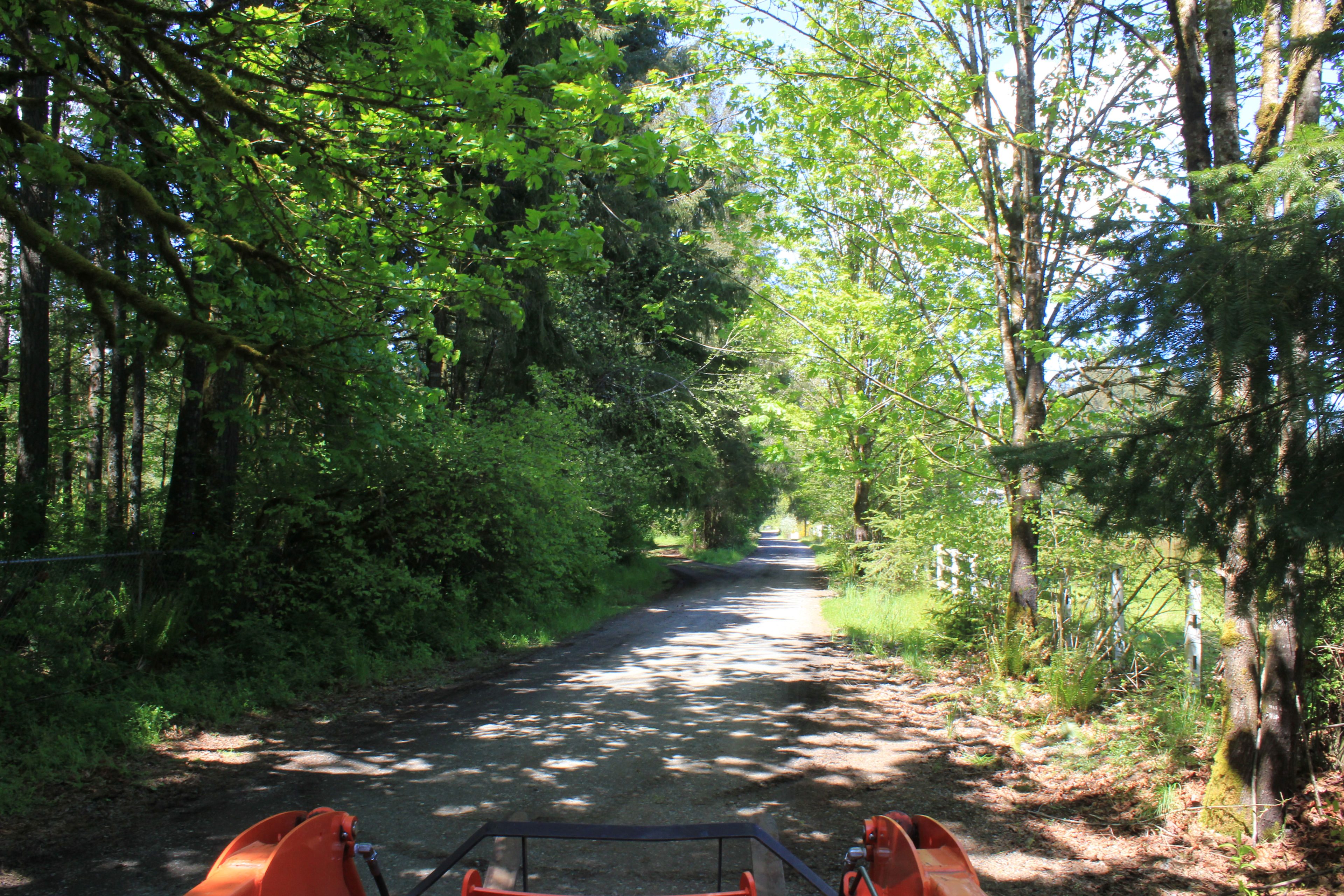 pulling into driveway