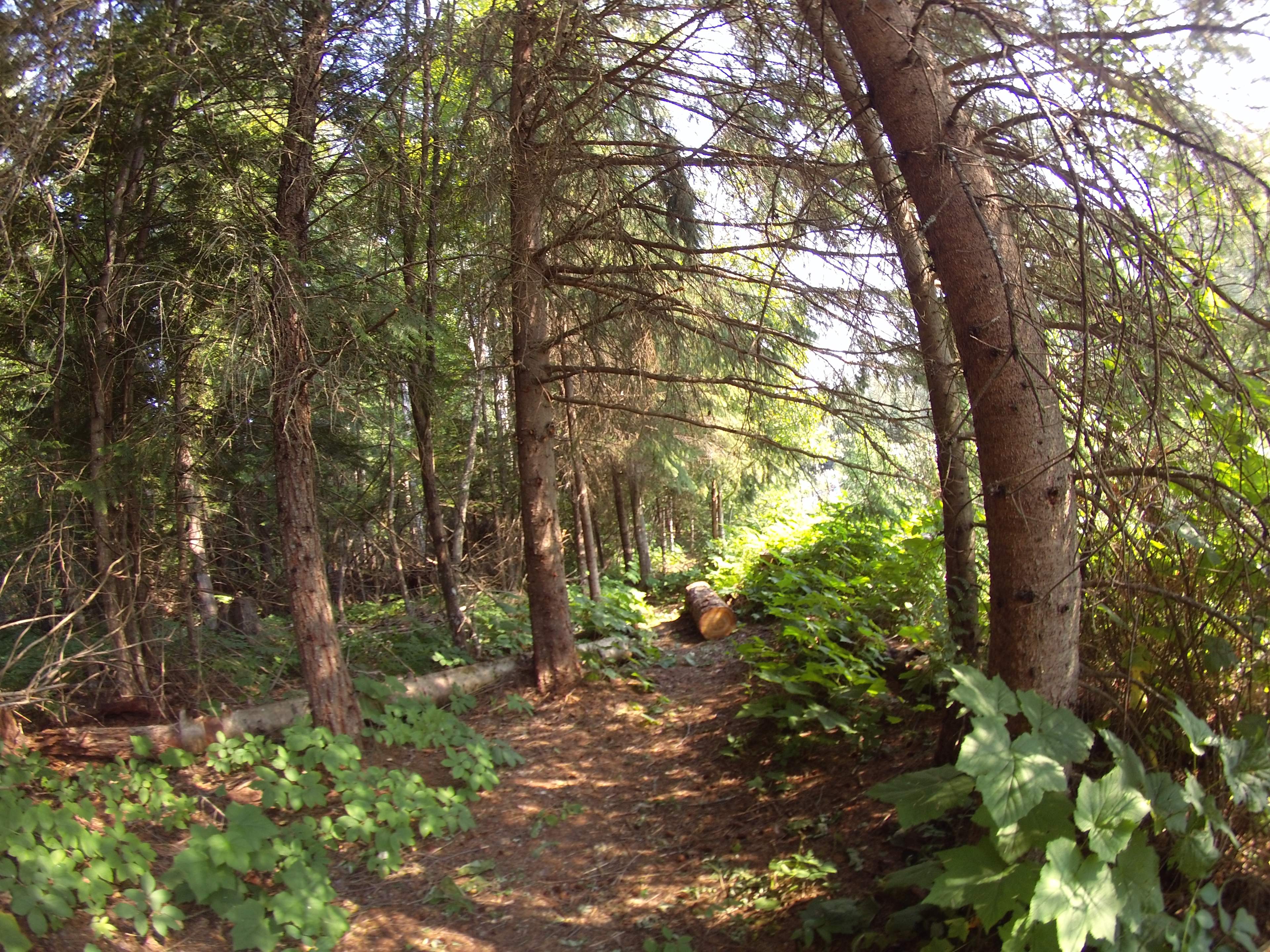 The outhouse trail!!  It's more pleasant than the name would suggest^^