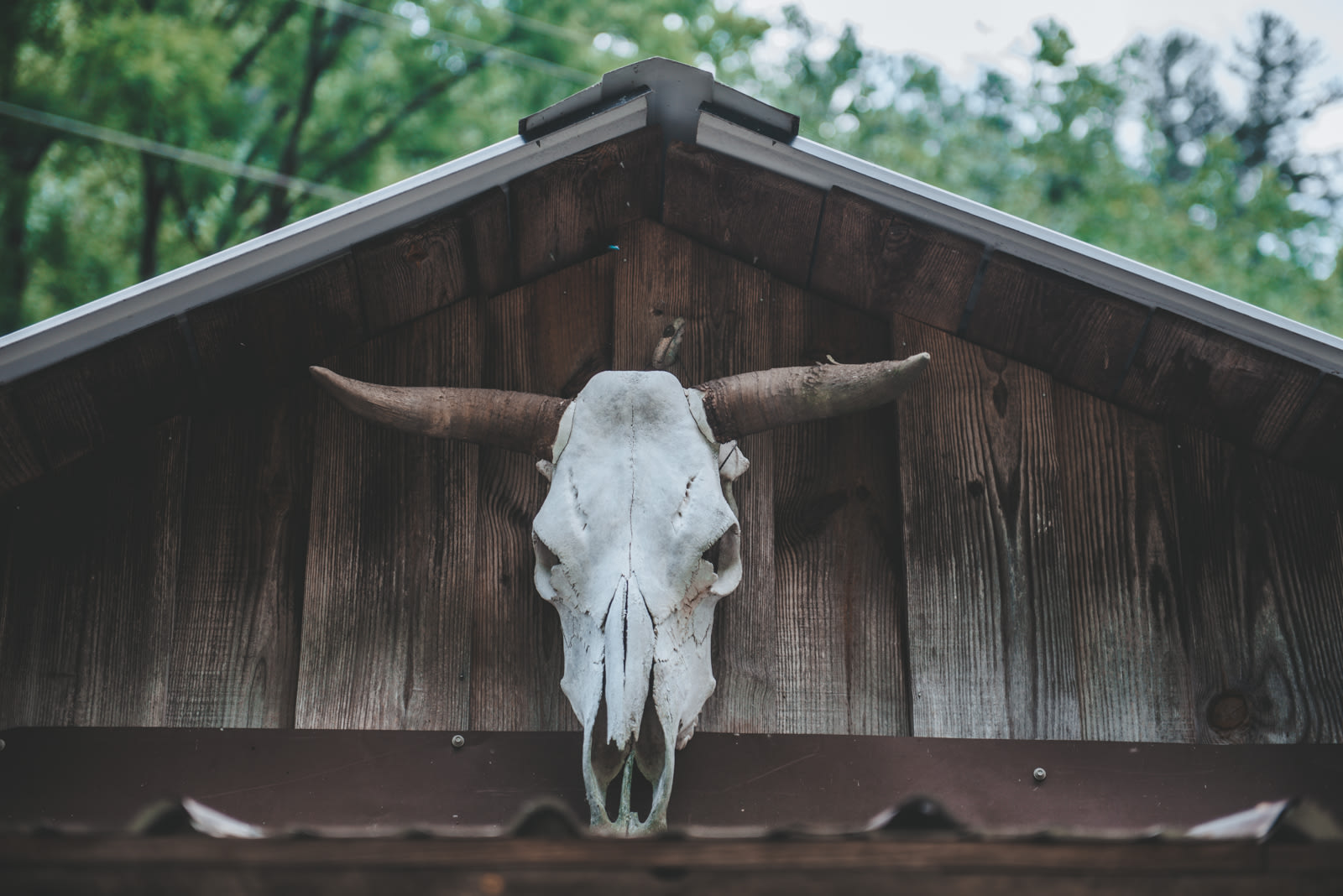 joyville, camping site on elk creek