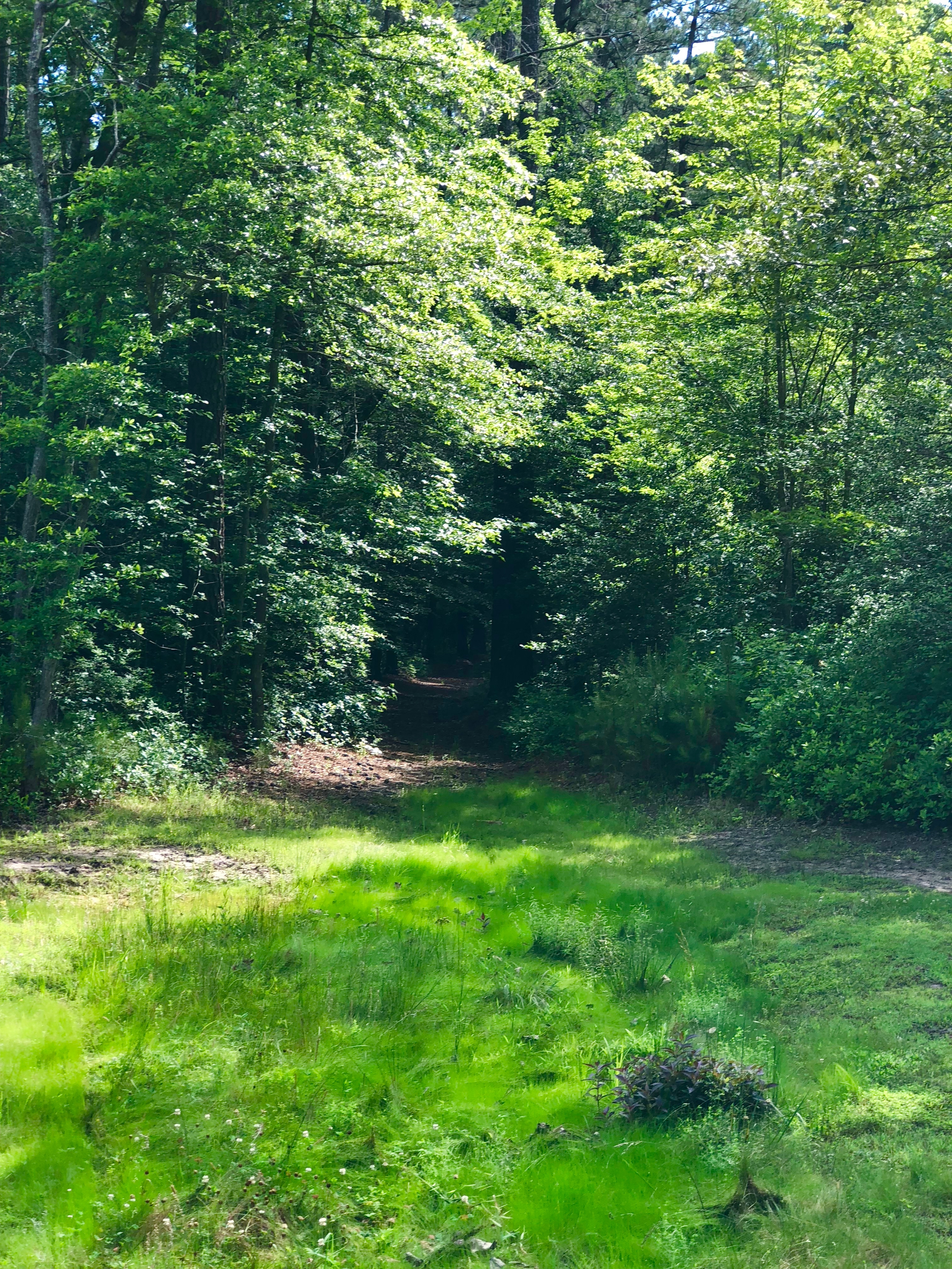 Peace Hill Farm