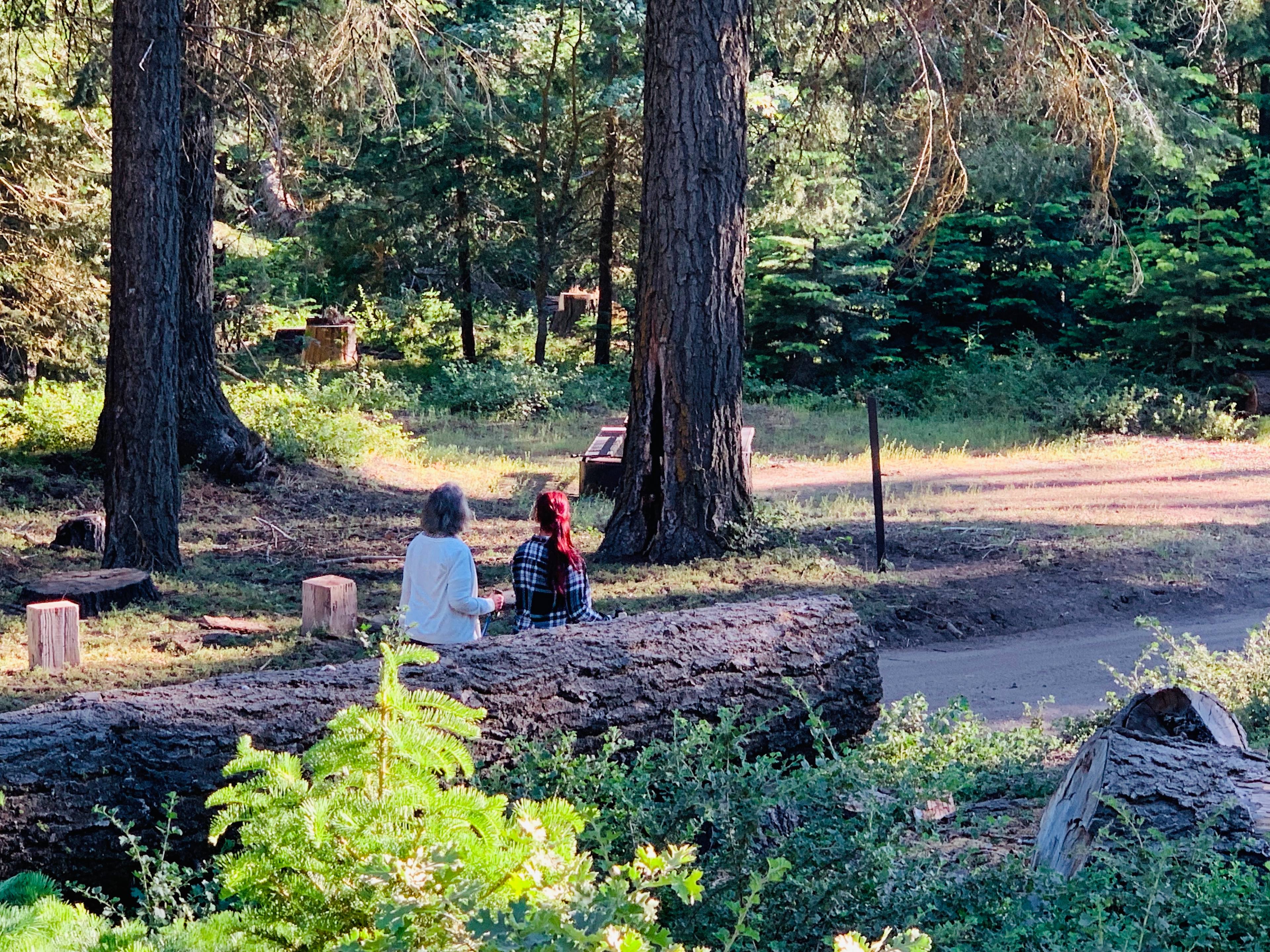 Evans Flat Campground