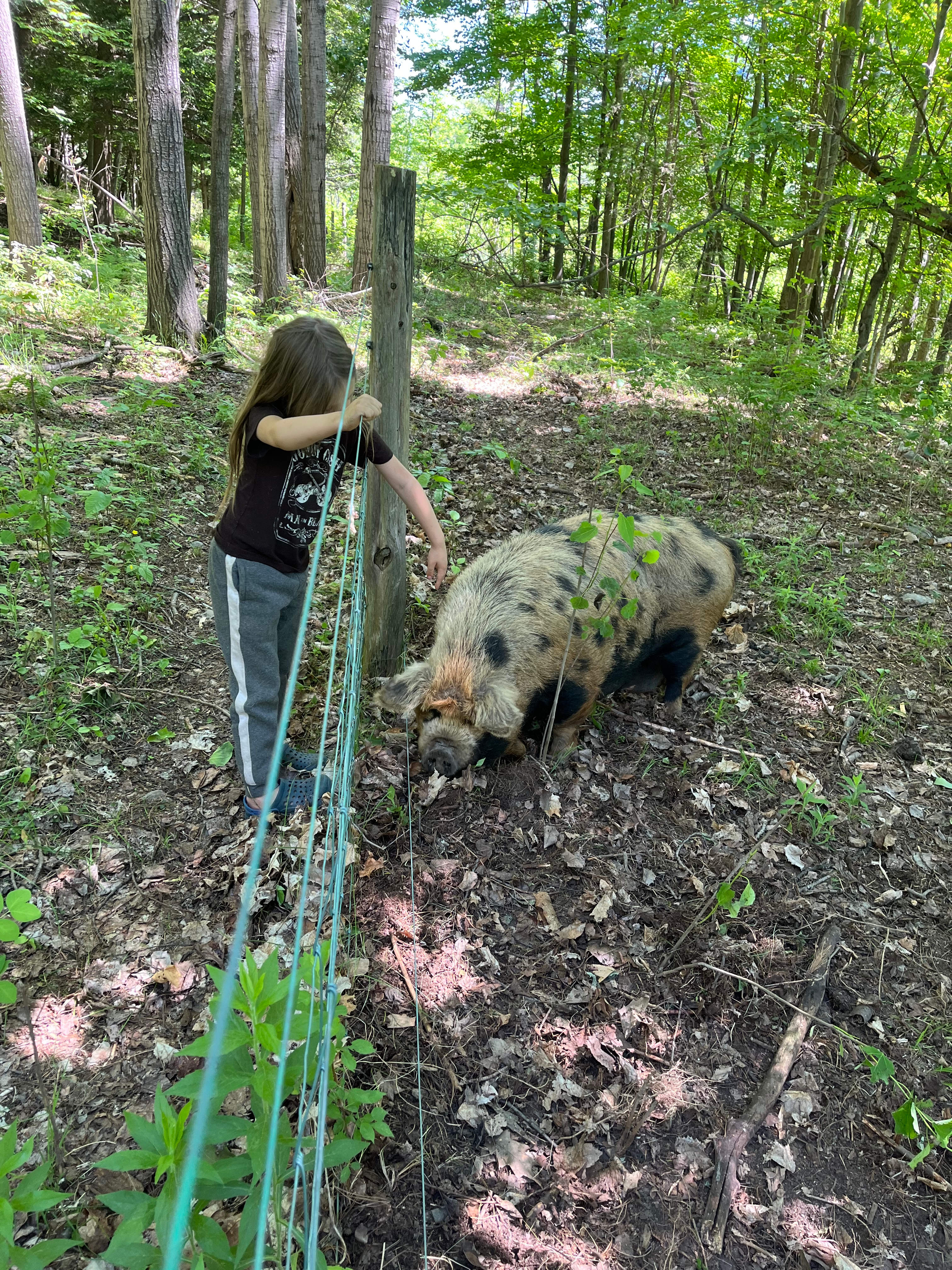 Farm Animal Sanctuary Retreat