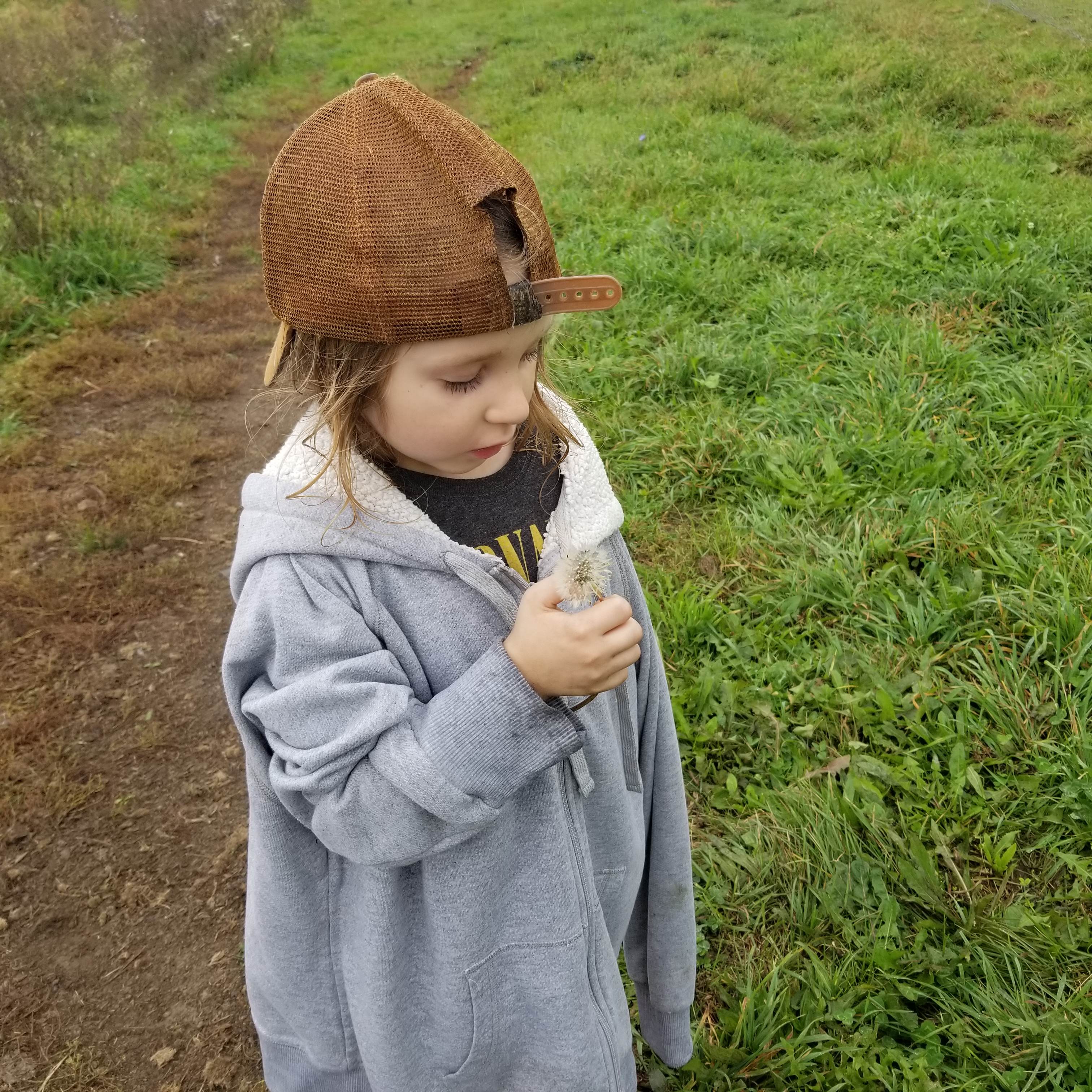 Farm Animal Sanctuary Retreat