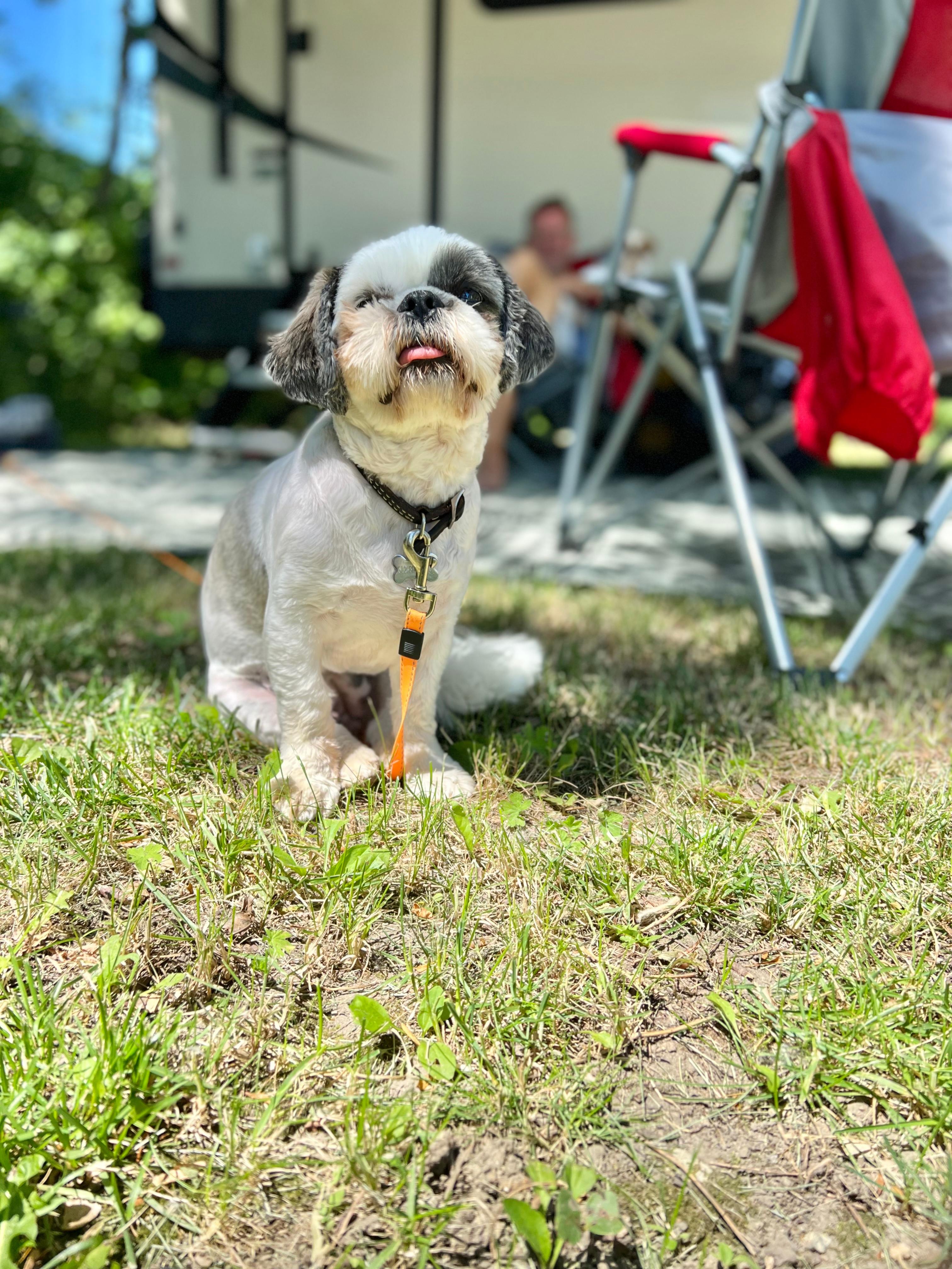 Caven's Landing Campground