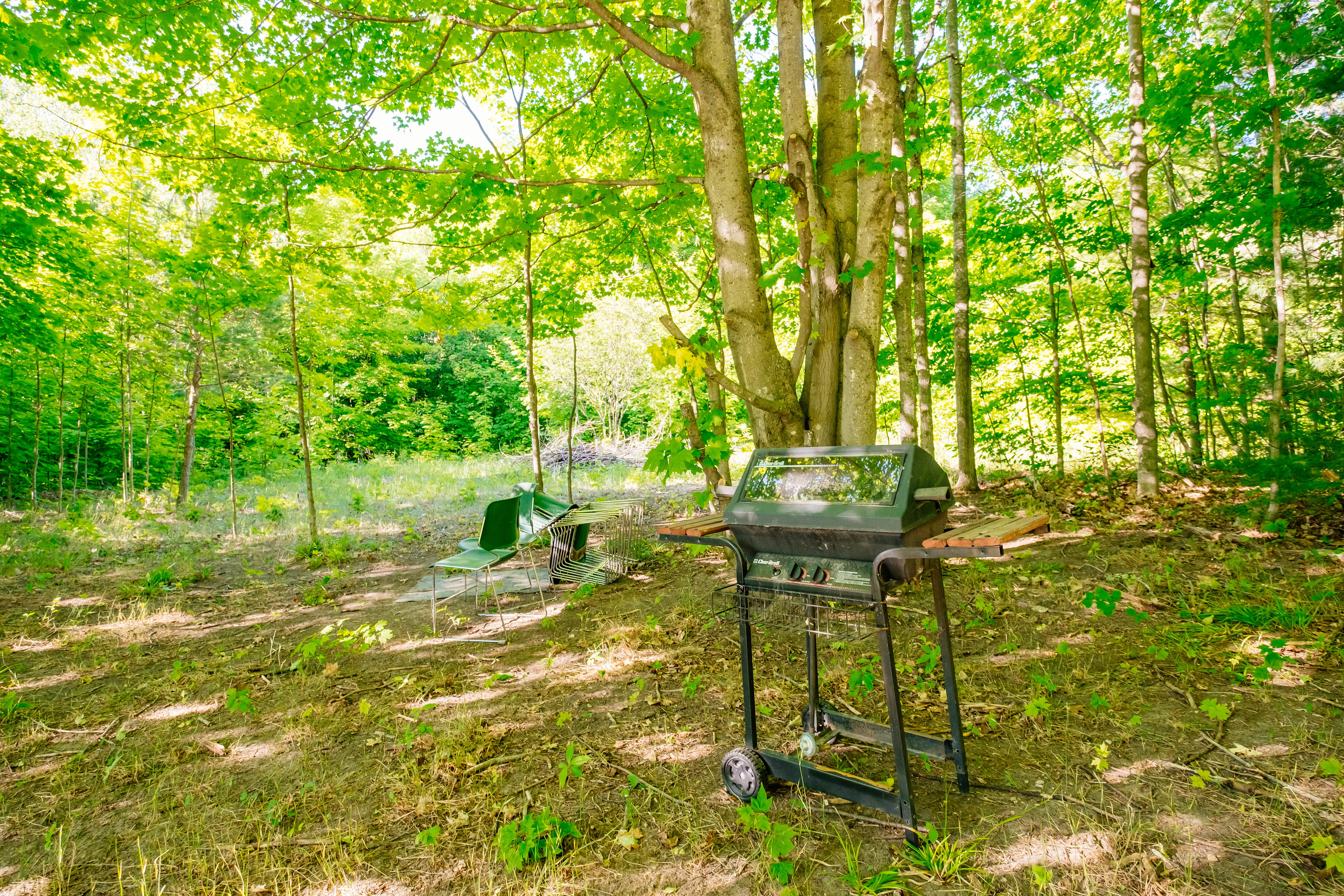 Grill and sitting area in forest