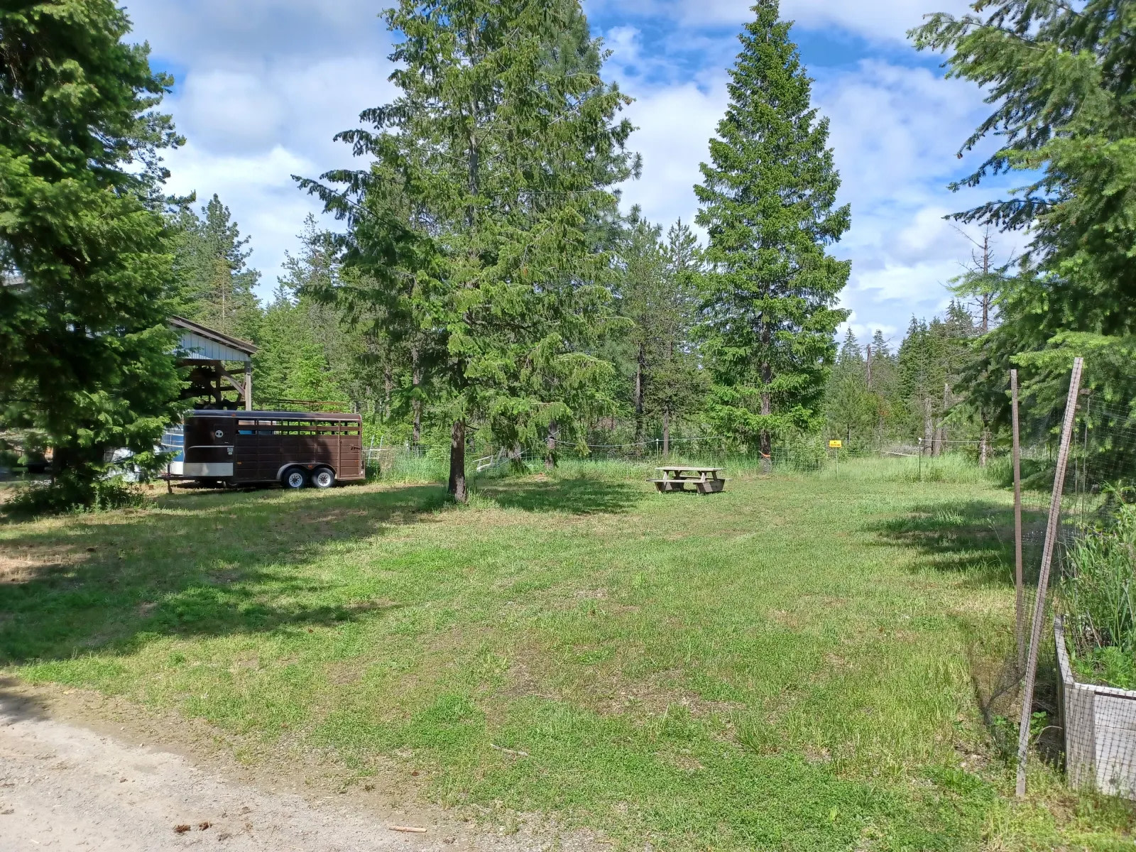 Picture 2, The Arena (Site 3)