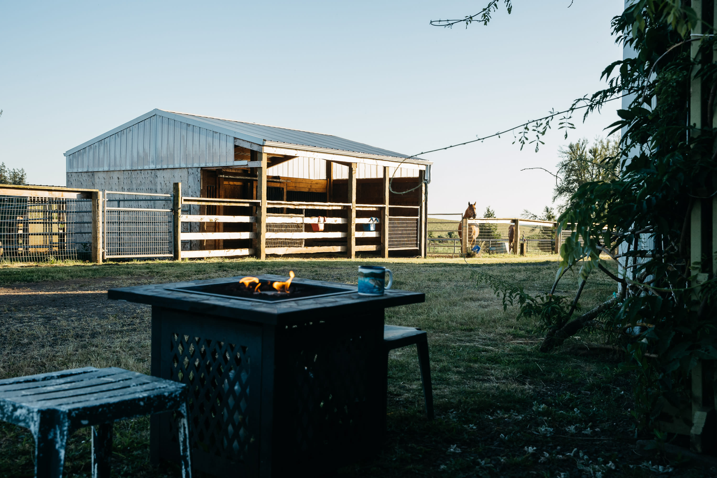 It was fun to camp so close to horses! 