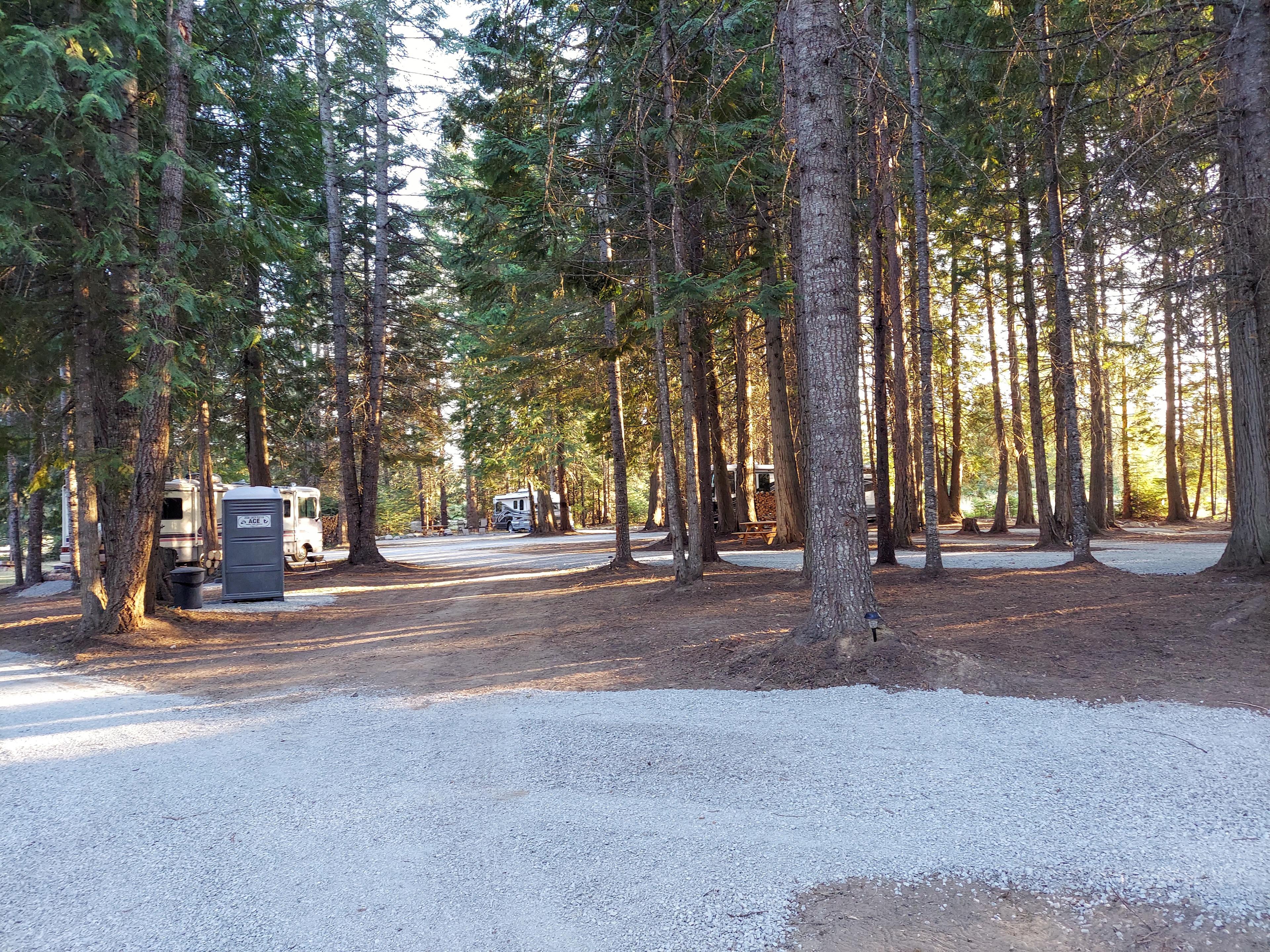 Under the Cedars