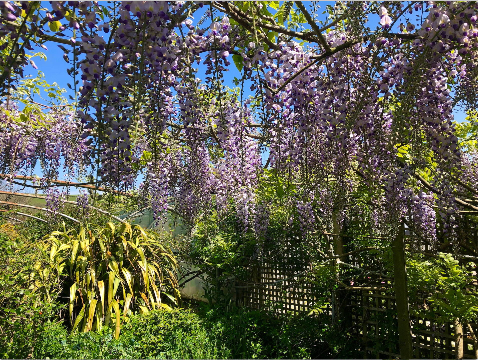 Secret Spot Camping Saunton