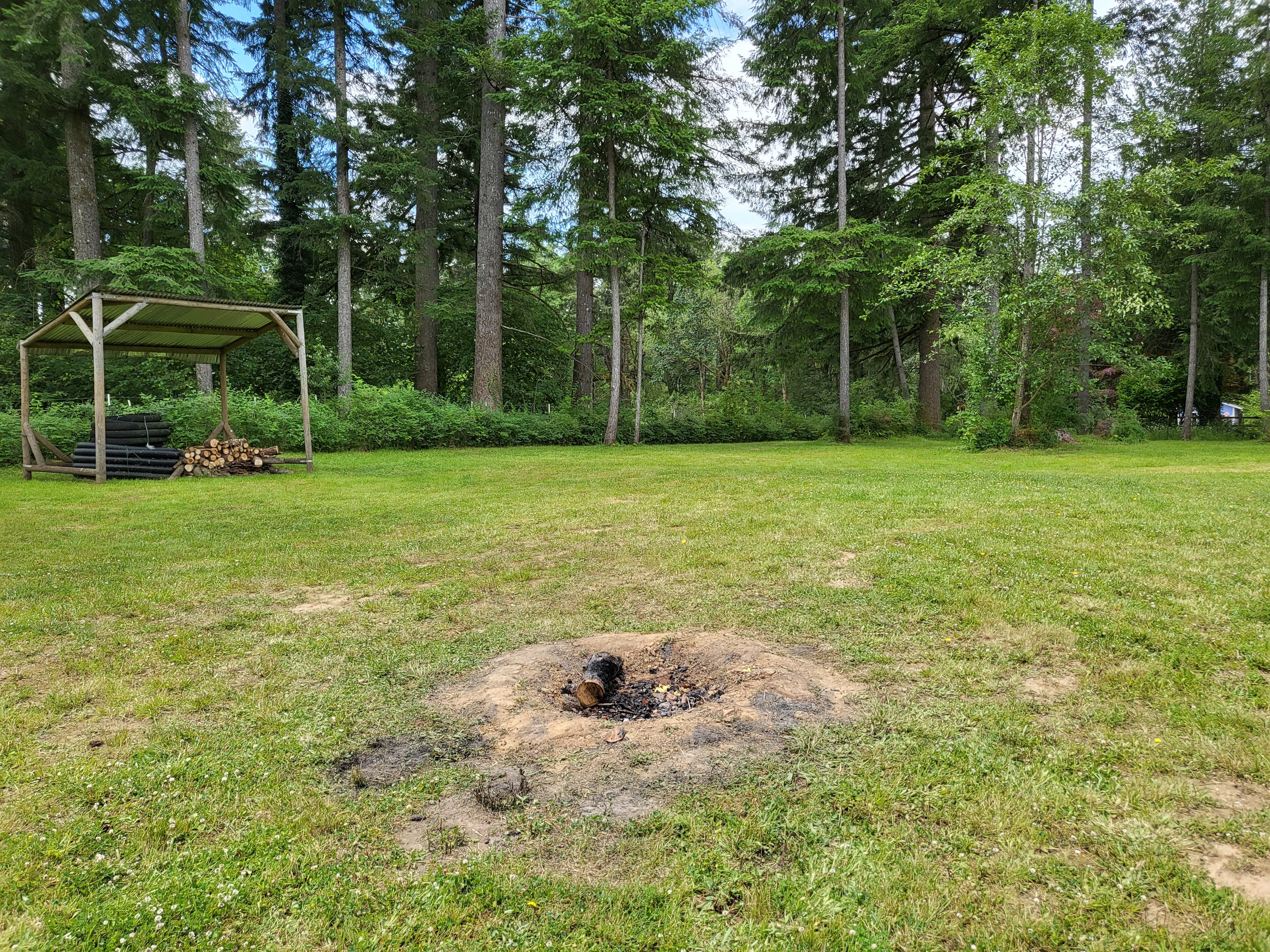 River Mountain Meadow