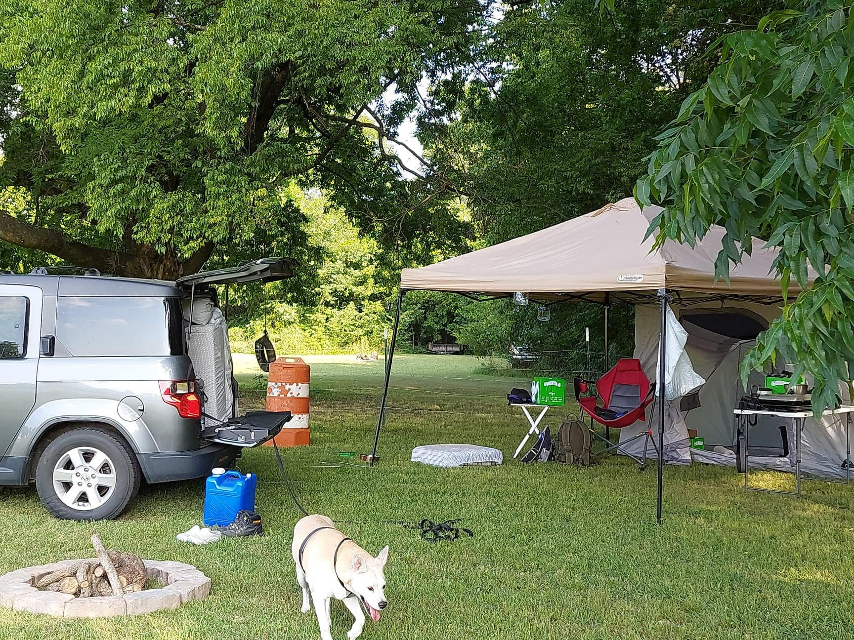 Molly, my canine companion and our campsite, We sleep in my car and use the pop up and small attached tent to store our stuff while sight seeing.