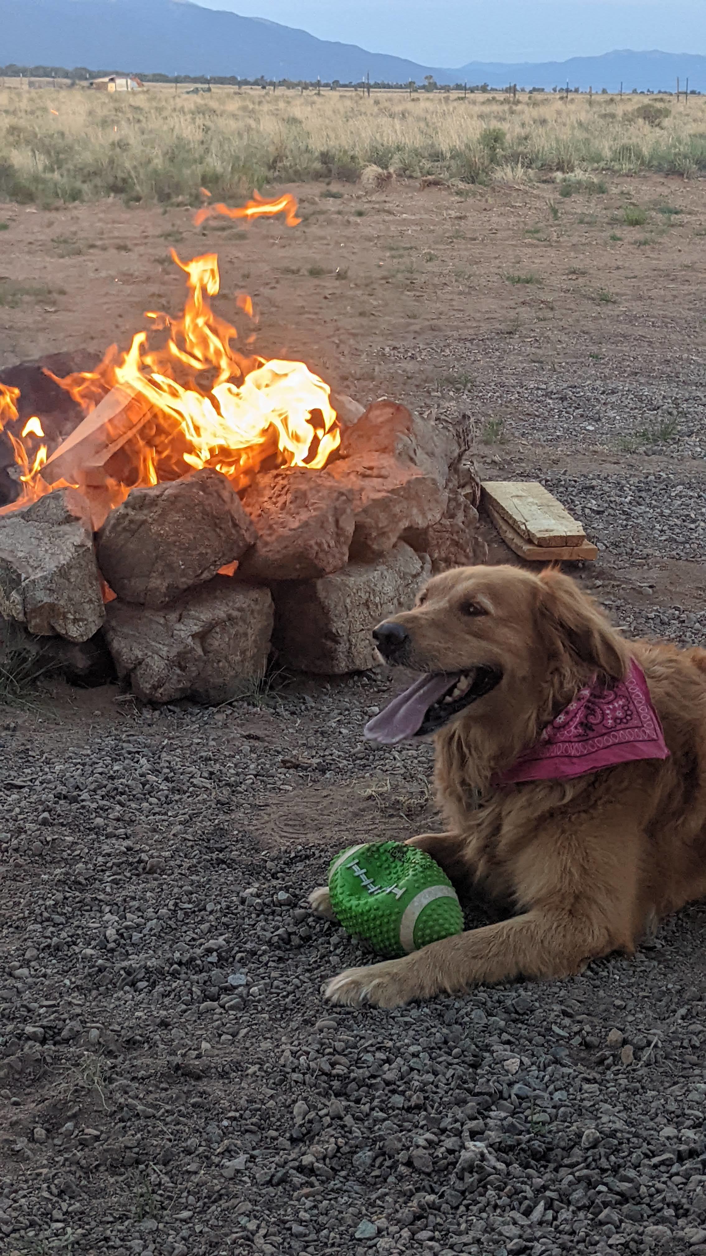 Firewood available $5 per bundle