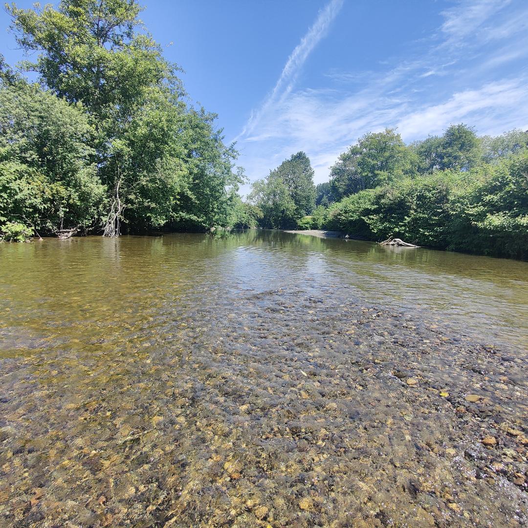 Plenty of Riverfront property.