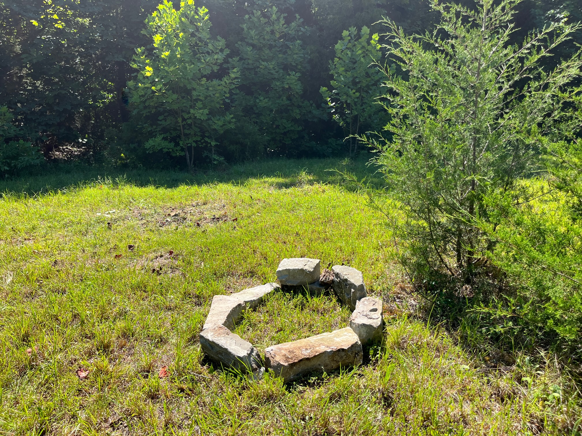 Love Shack Meadow