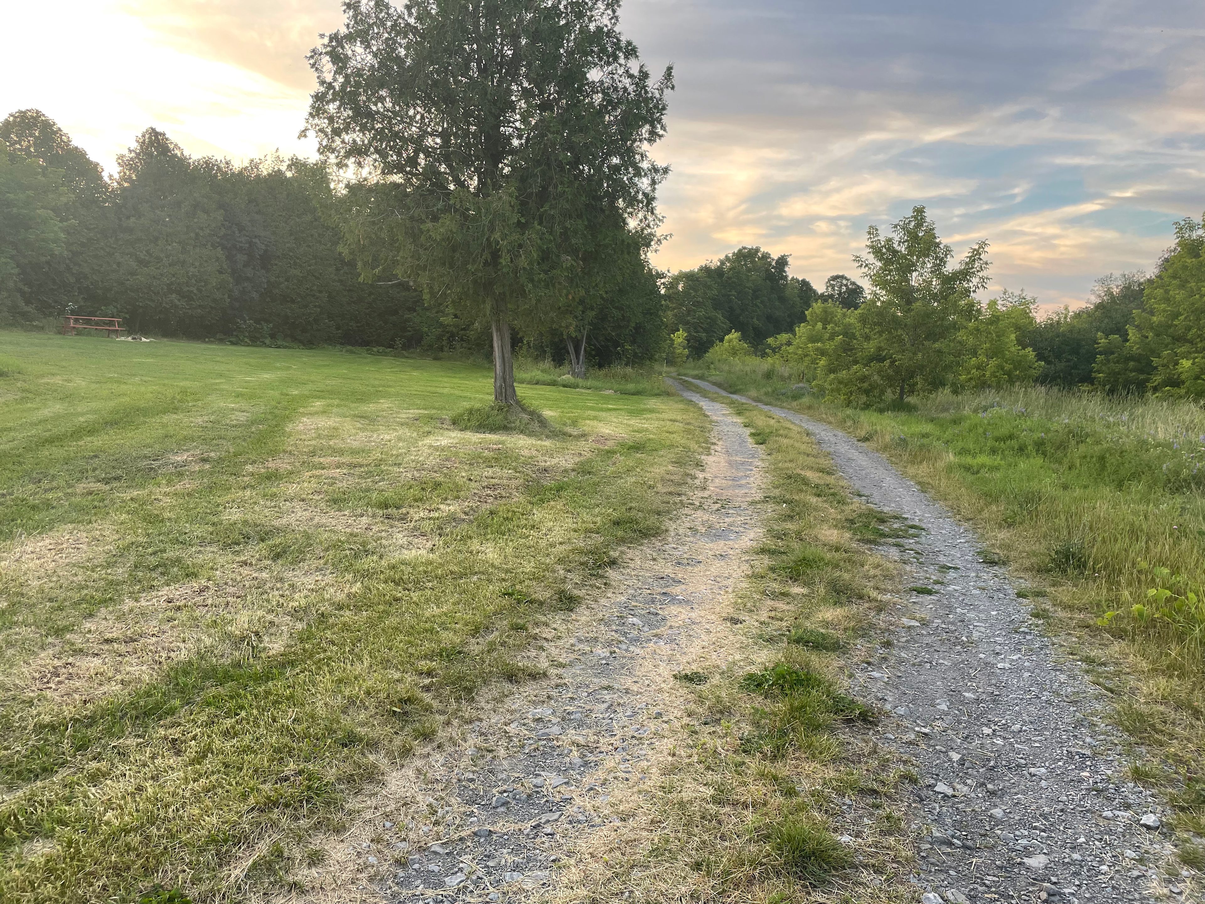 Vignoble et Domaine des Aromes