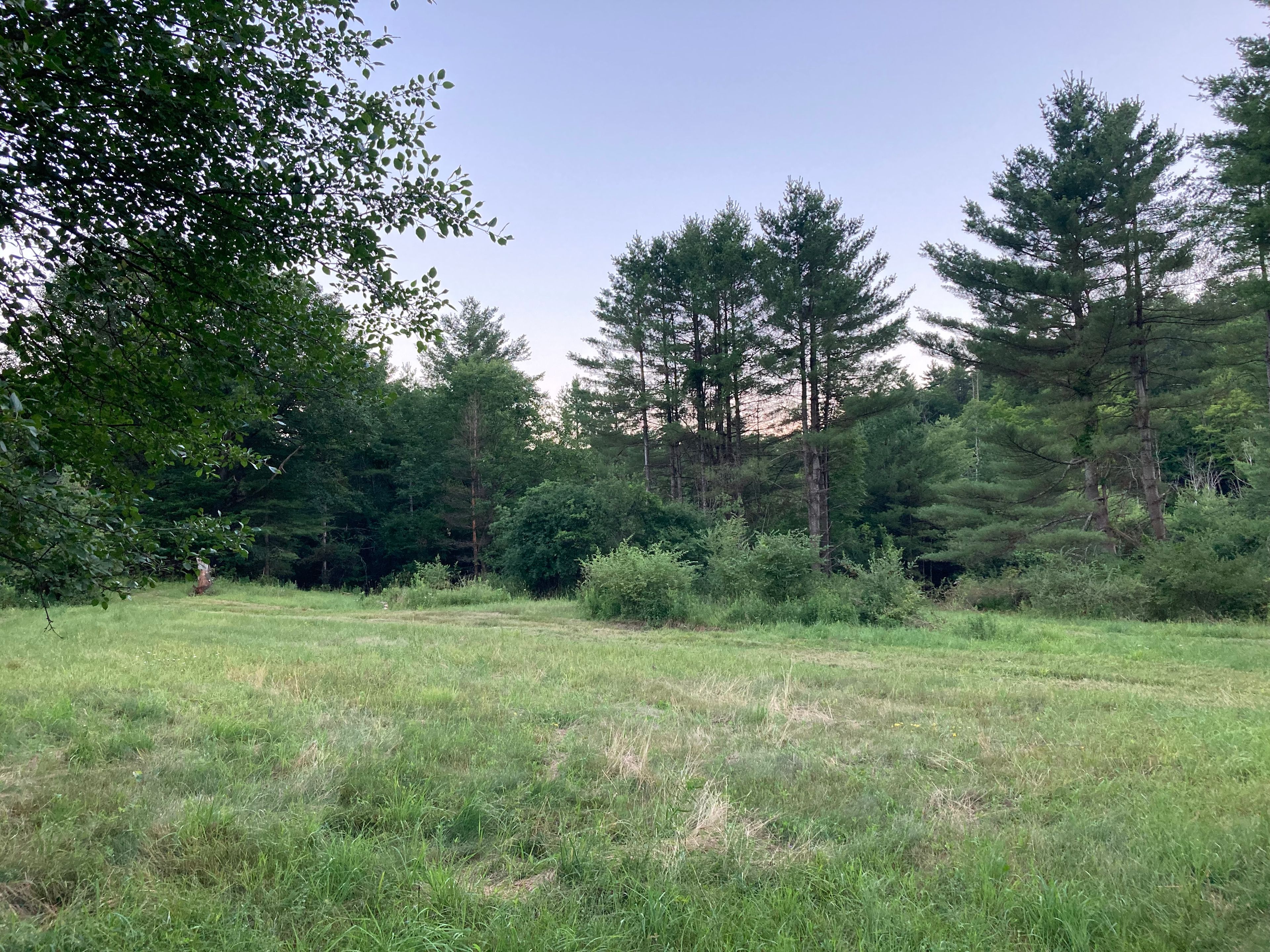 Camp Way Wild