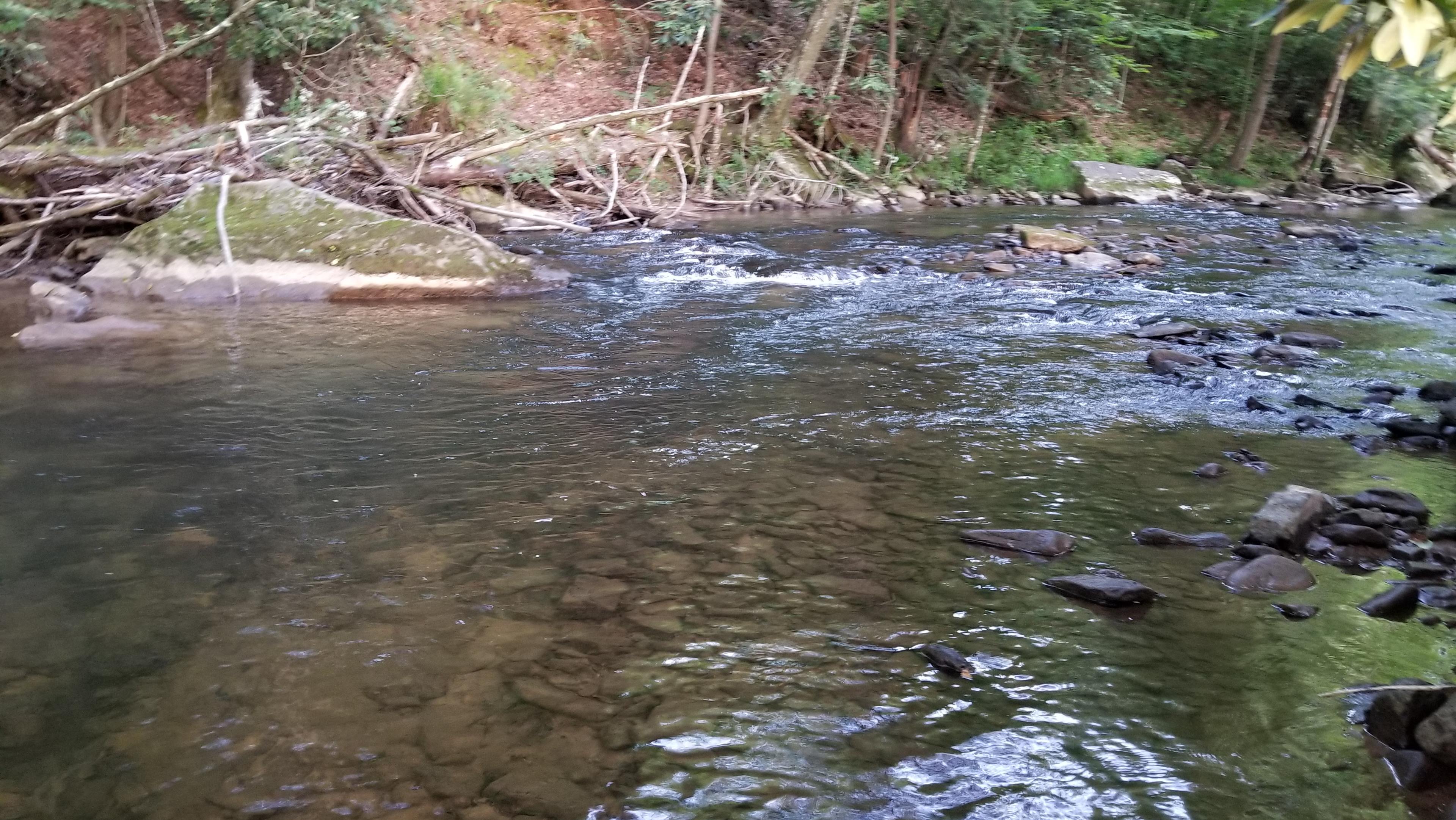 Czar Haus Cabin and RV Sites