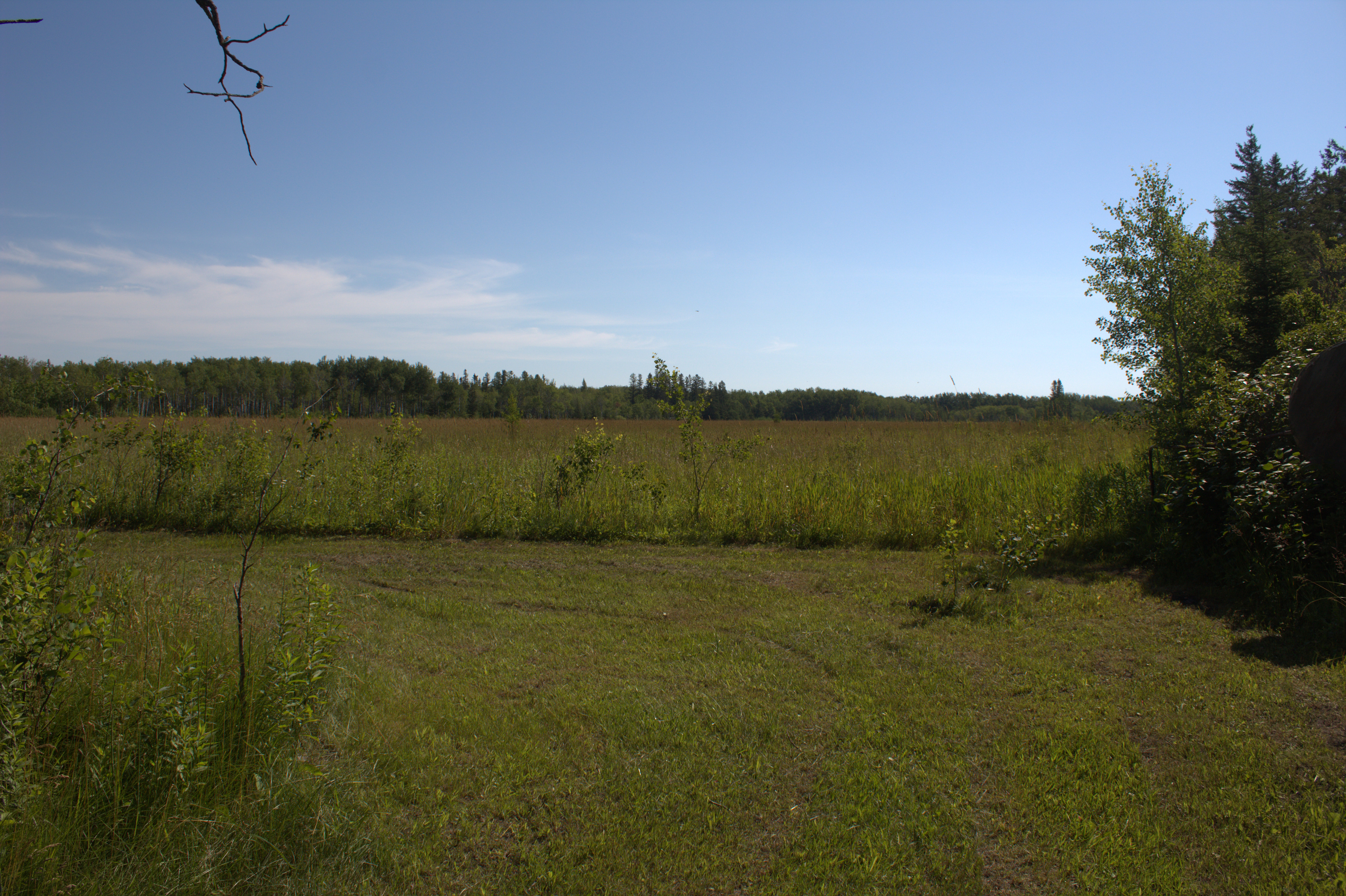 Walking Trails 