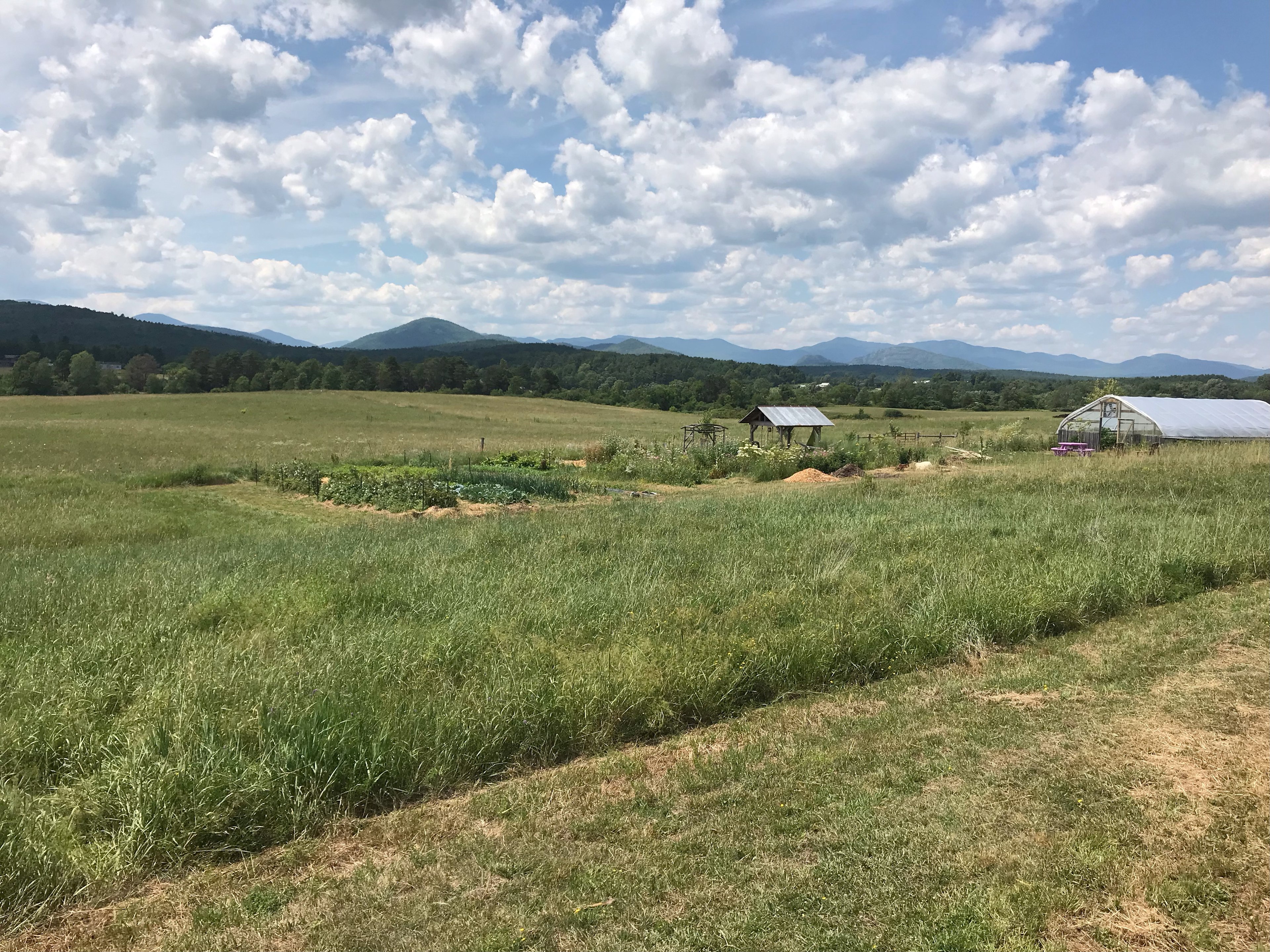 KZ Farm in the Adirondacks