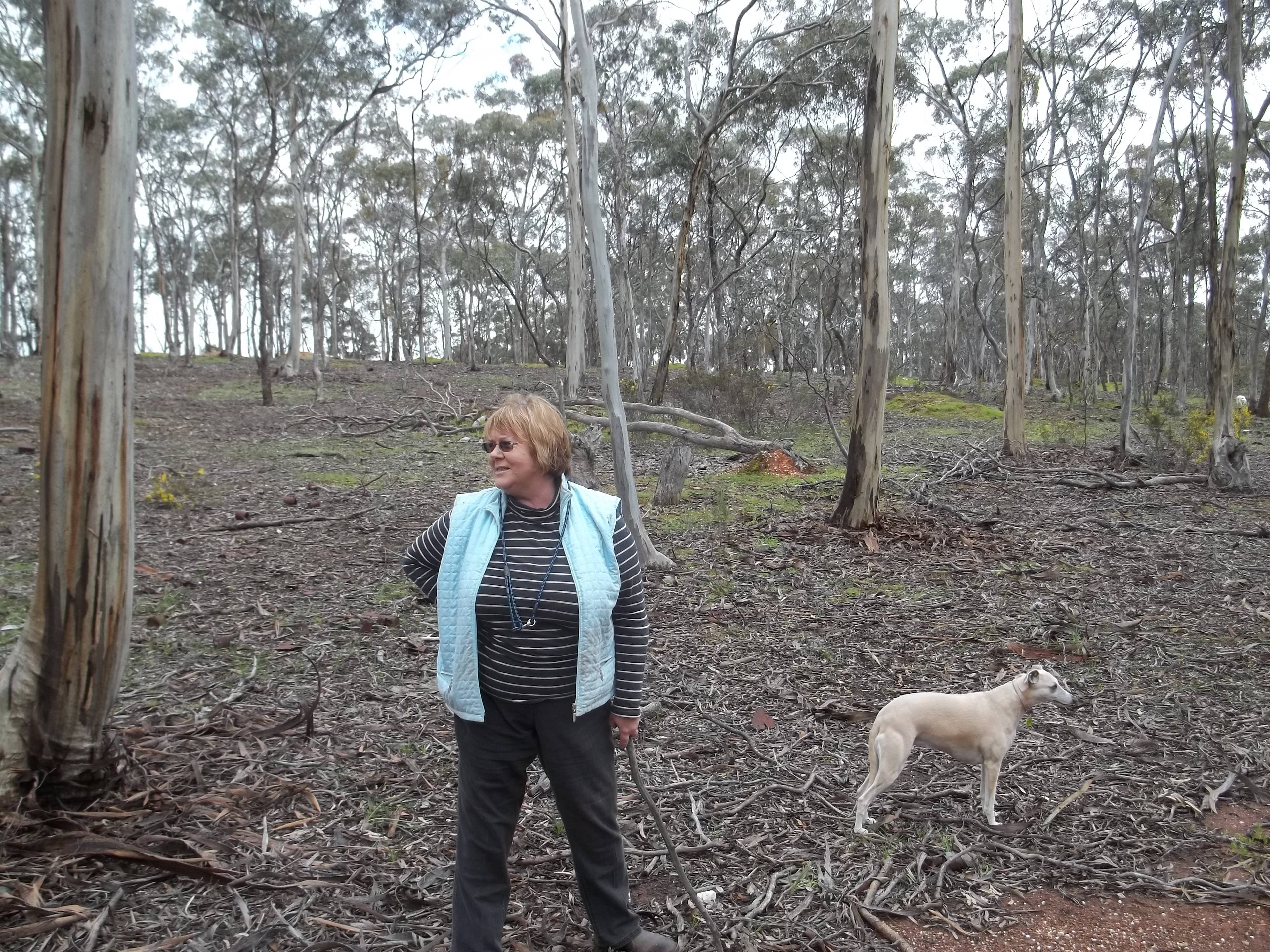 Gooseberry Hill Dunolly
