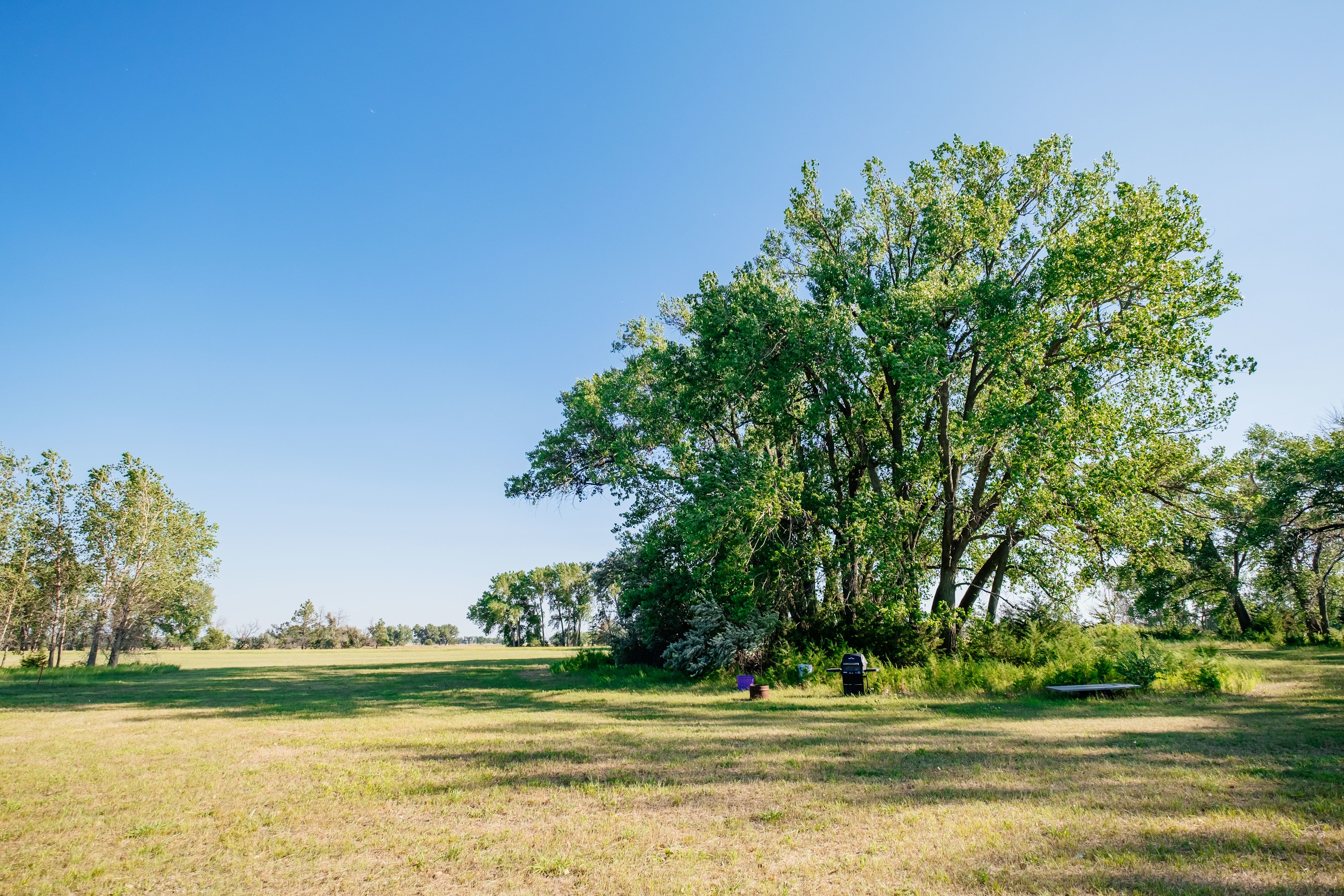 Field site 1