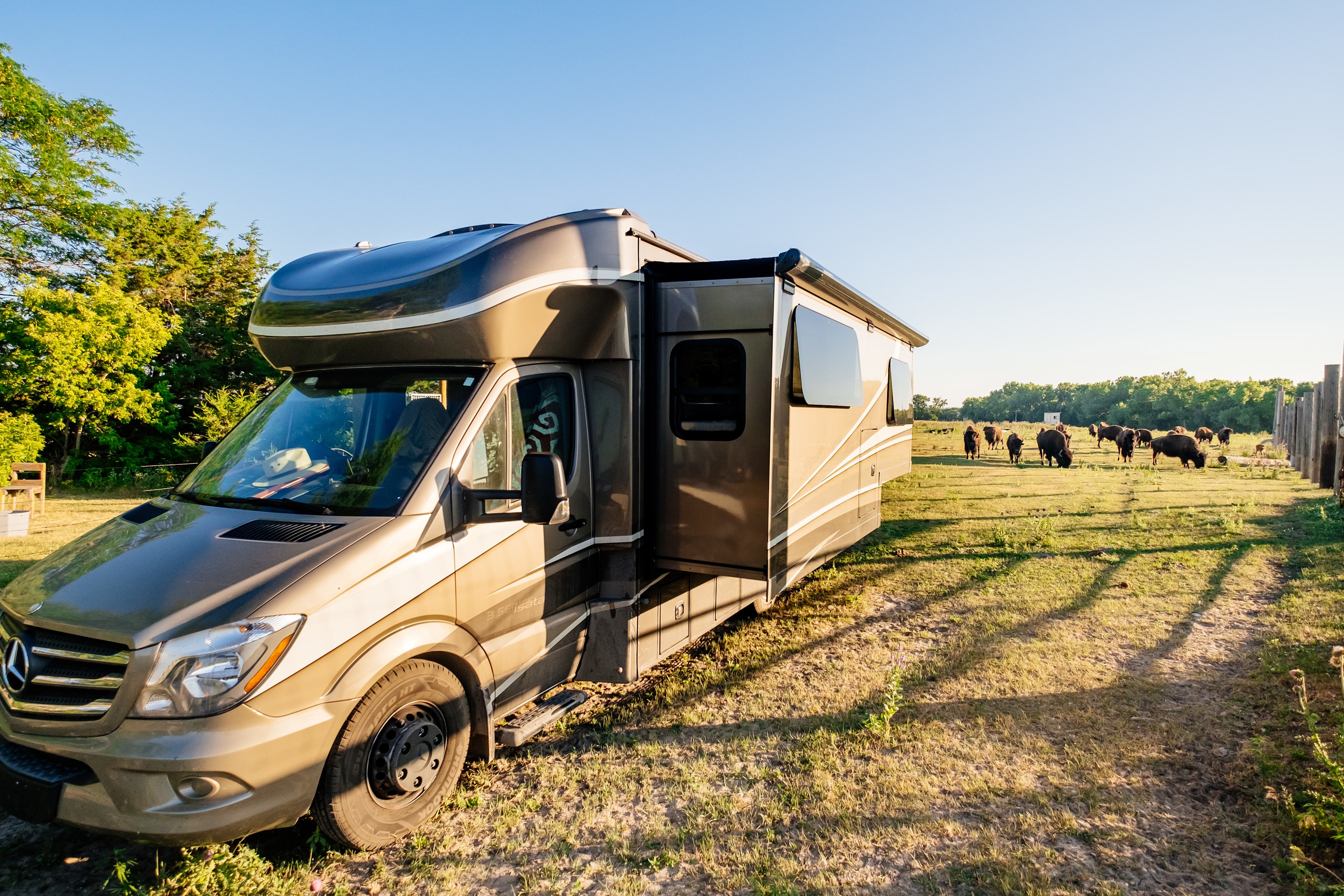 More pics of the herd stopping by