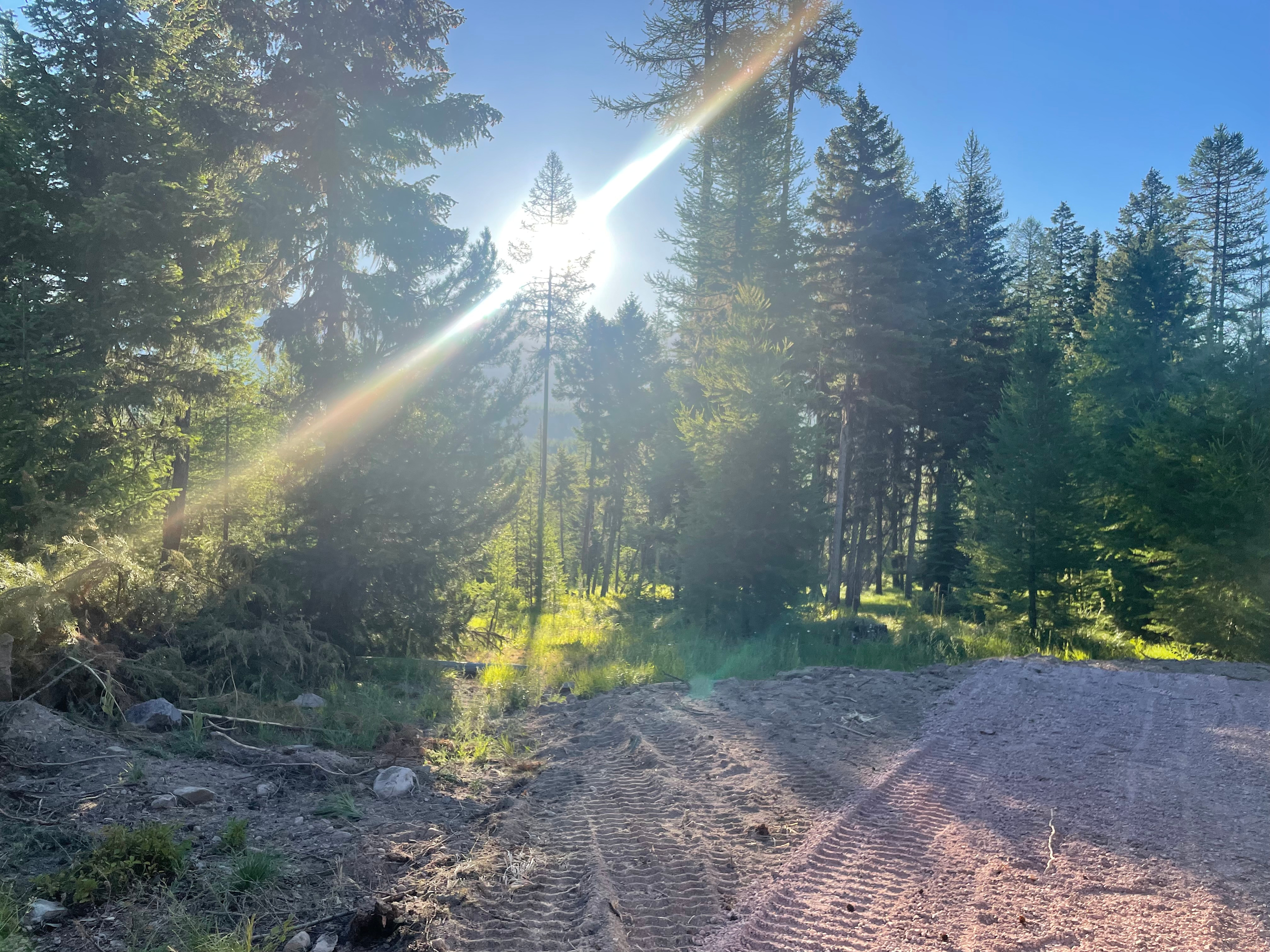 This is tamarack. Named that for the beautiful tamarack tree. This spot has the best views of the mountains. 