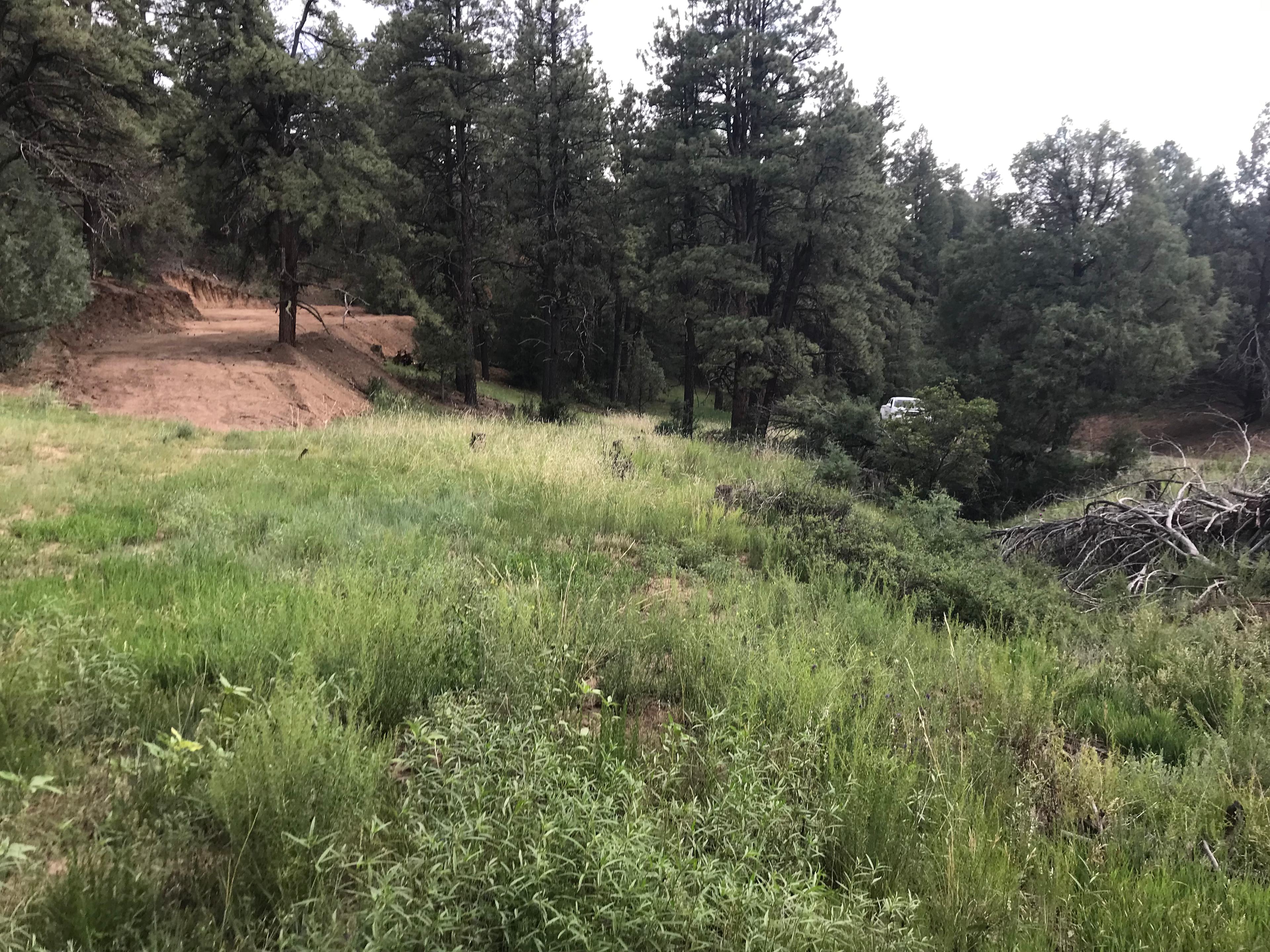 We have a nice large flat area for you to park your small camper or truck camper  we will be cutting down the tree by the driveway soon. 