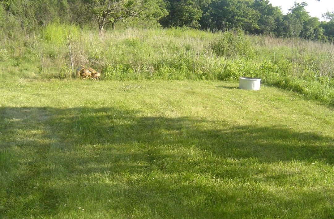 Campsite #2 looking south. 