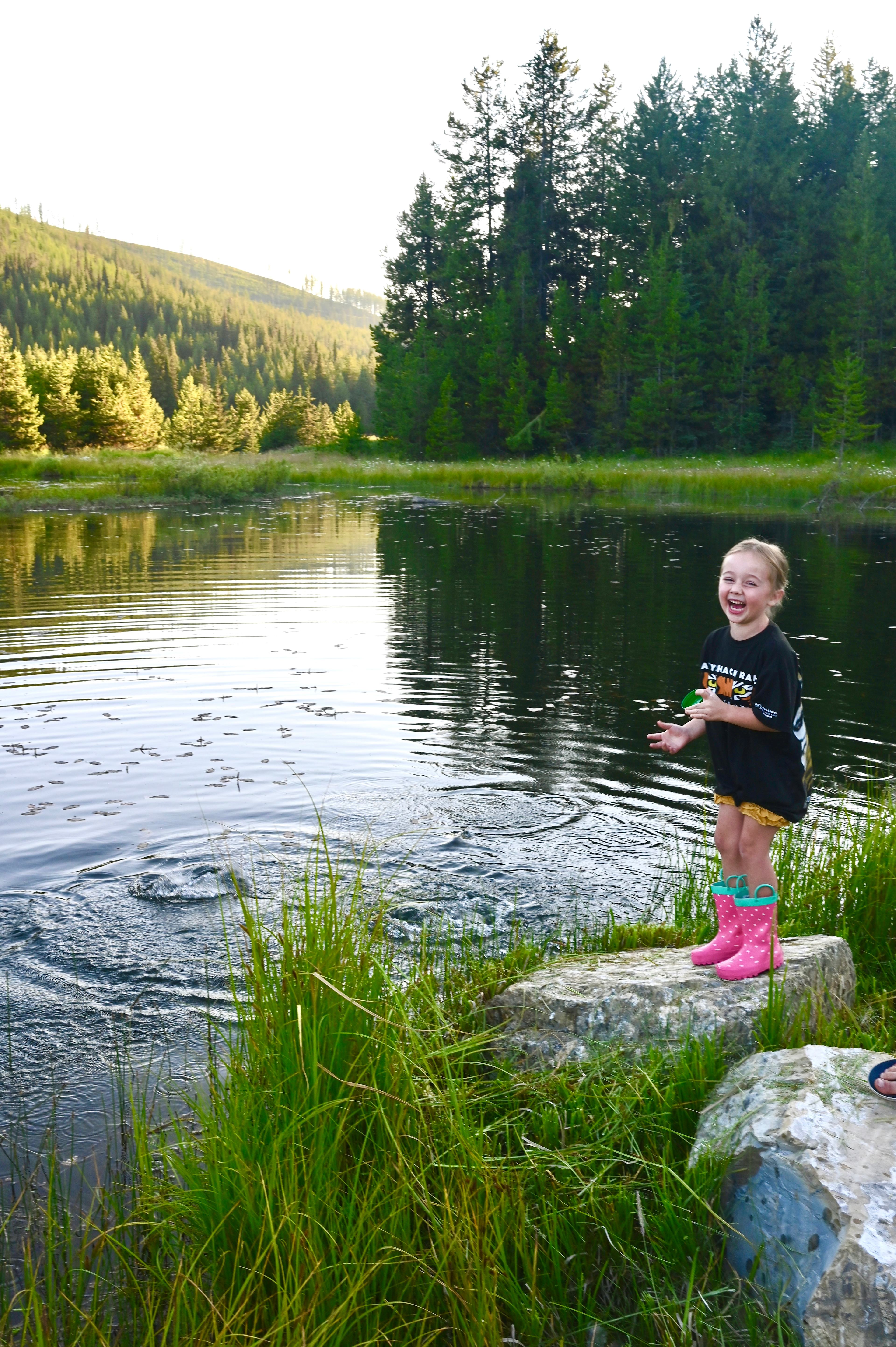 Fish Feeding & Legacy