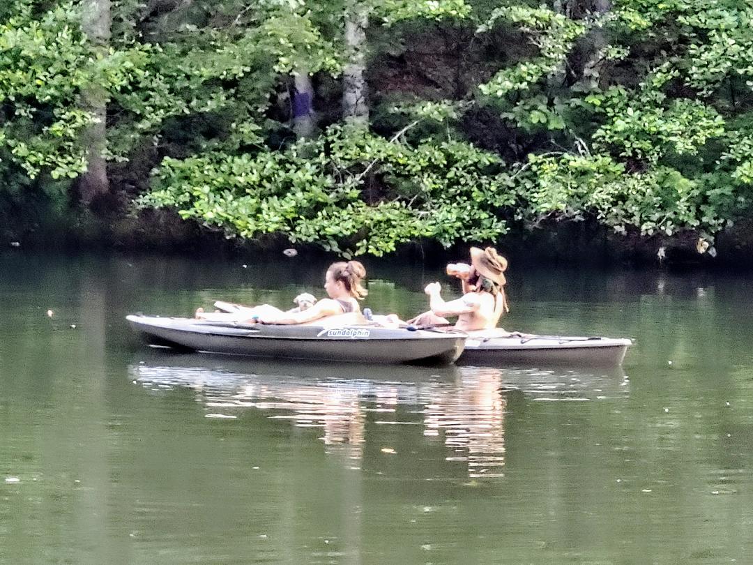 Chilling on the pond
