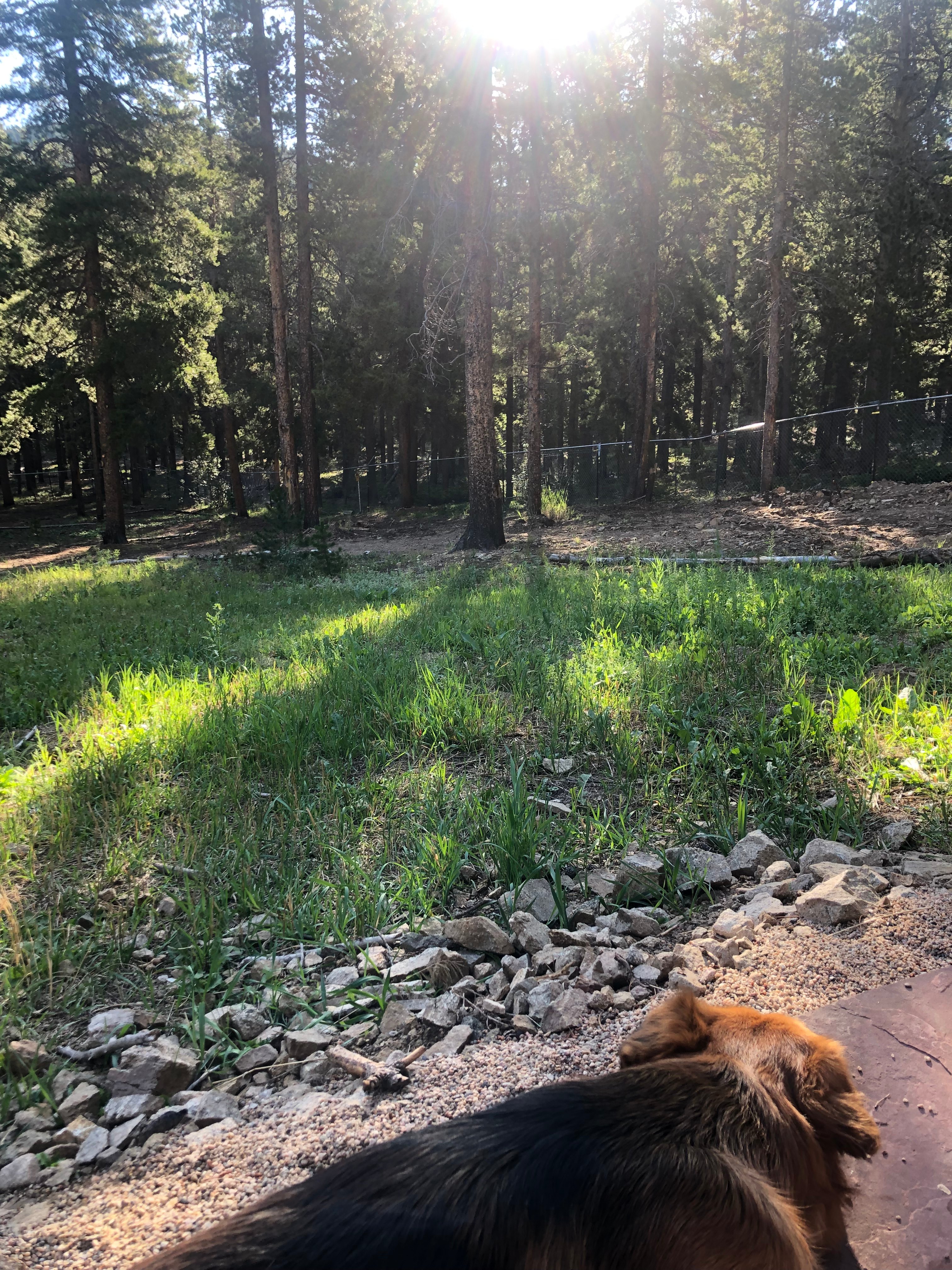 Rollinsville Adventure Camp