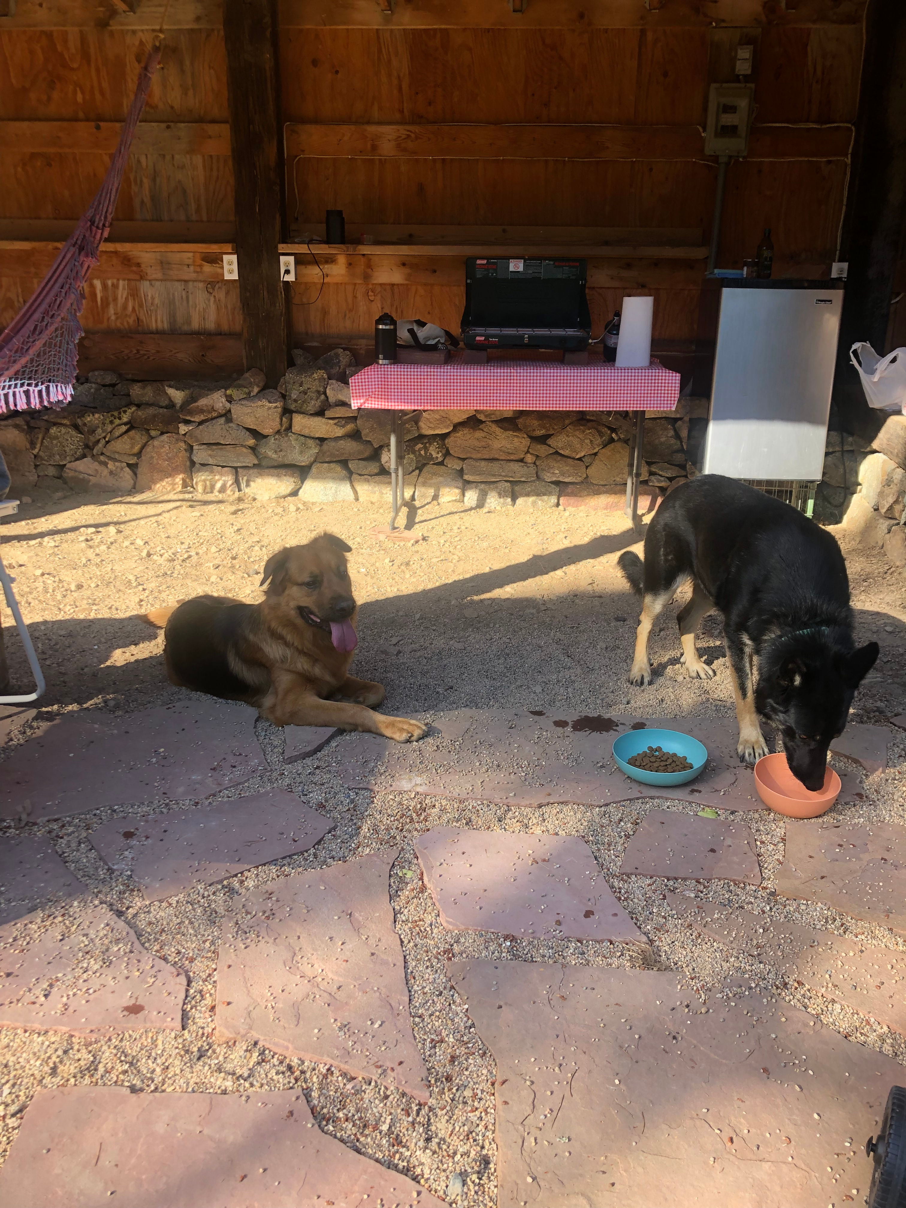 Rollinsville Adventure Camp