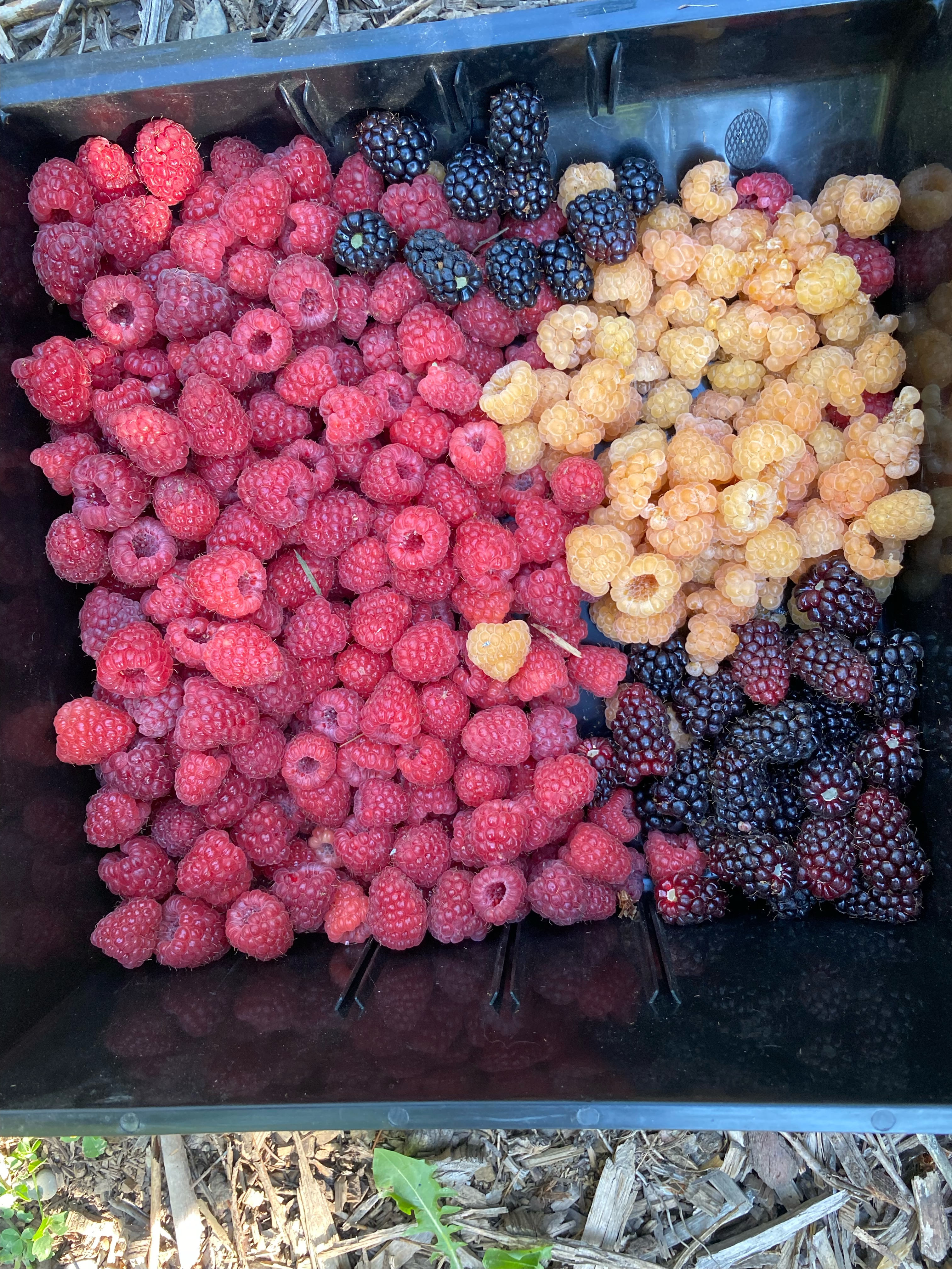 Glacial Ridge RV Park