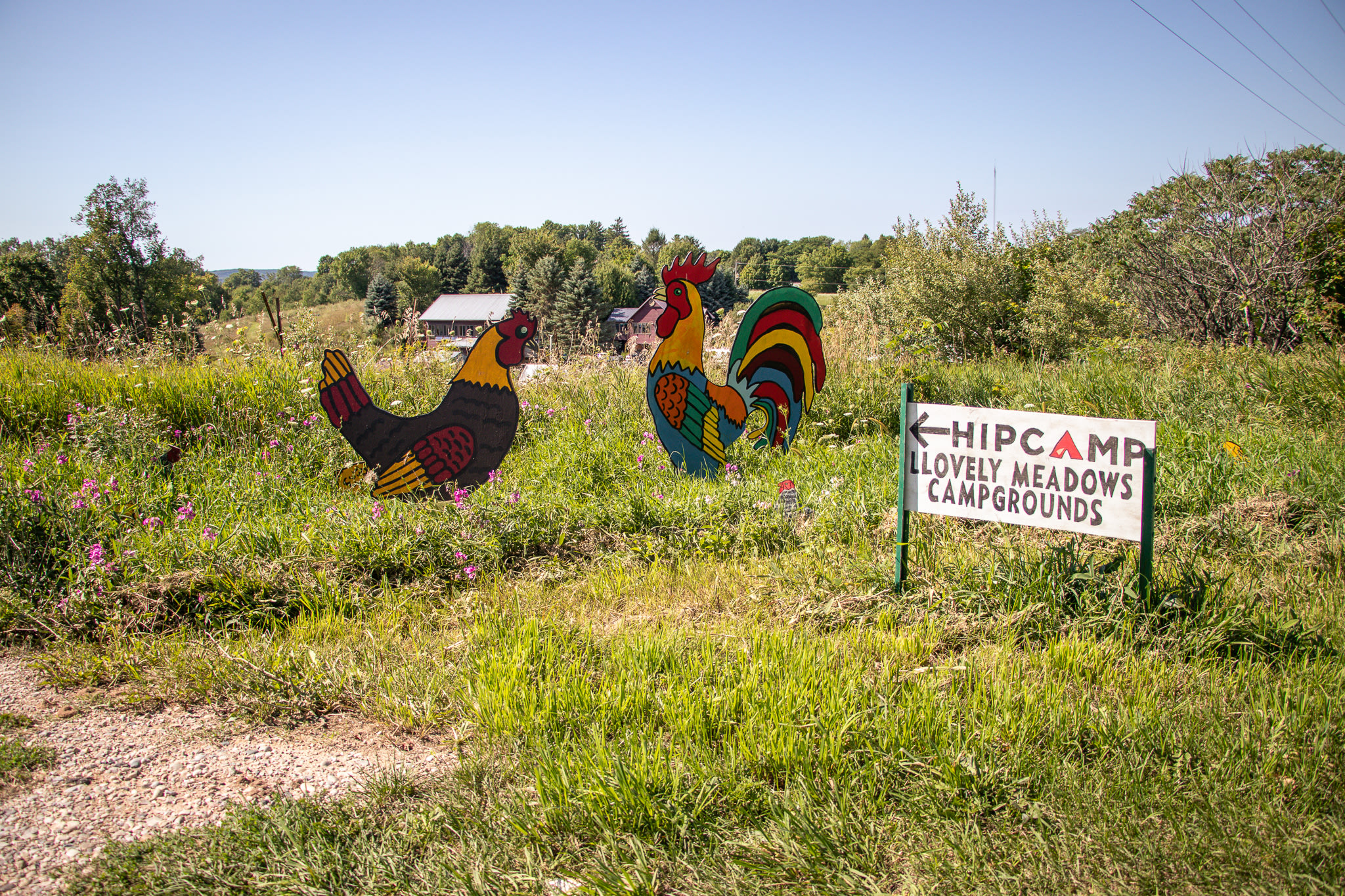 Around the entrance sign, there are cutouts of animals