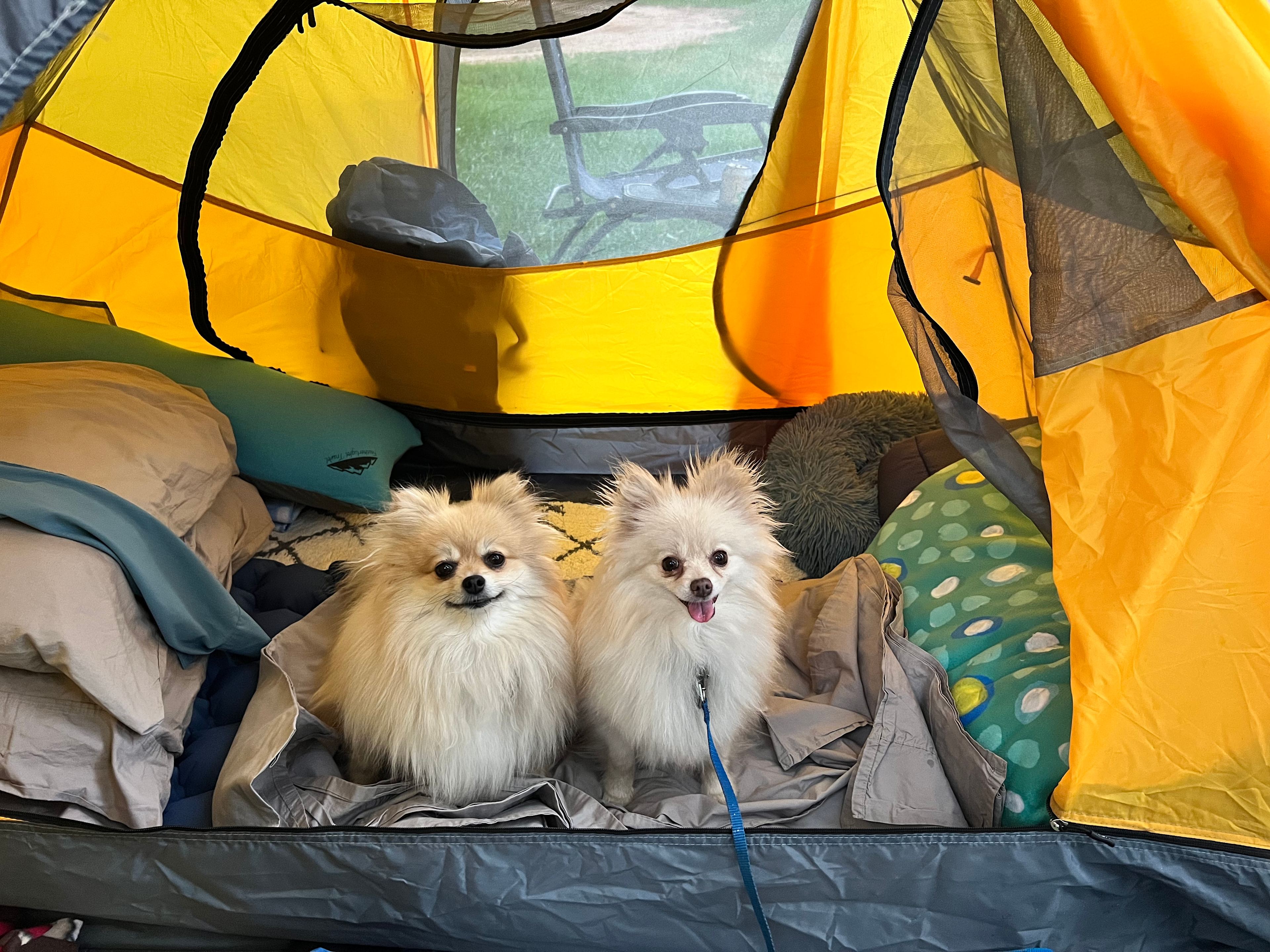 Parrish Ranch Campground