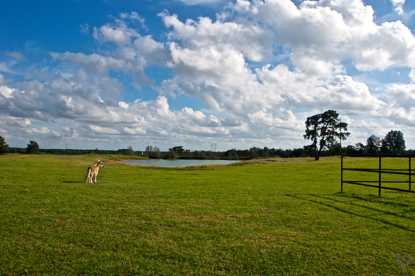 Valkyrie Ranch