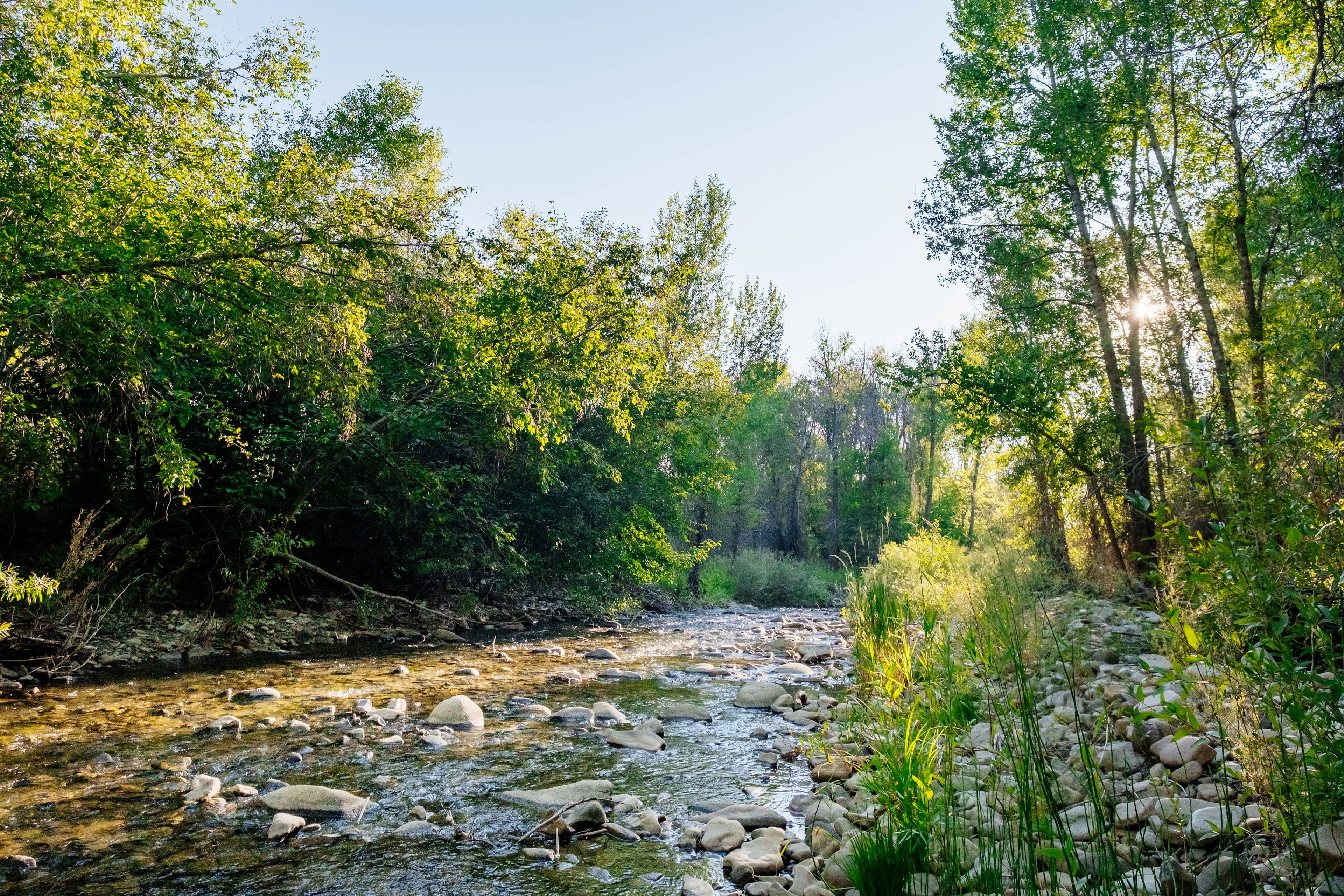 Small stream that runs through the property