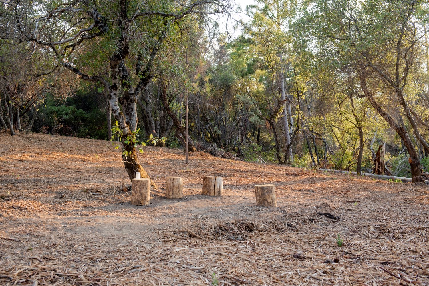 Robinson Mine Basecamp